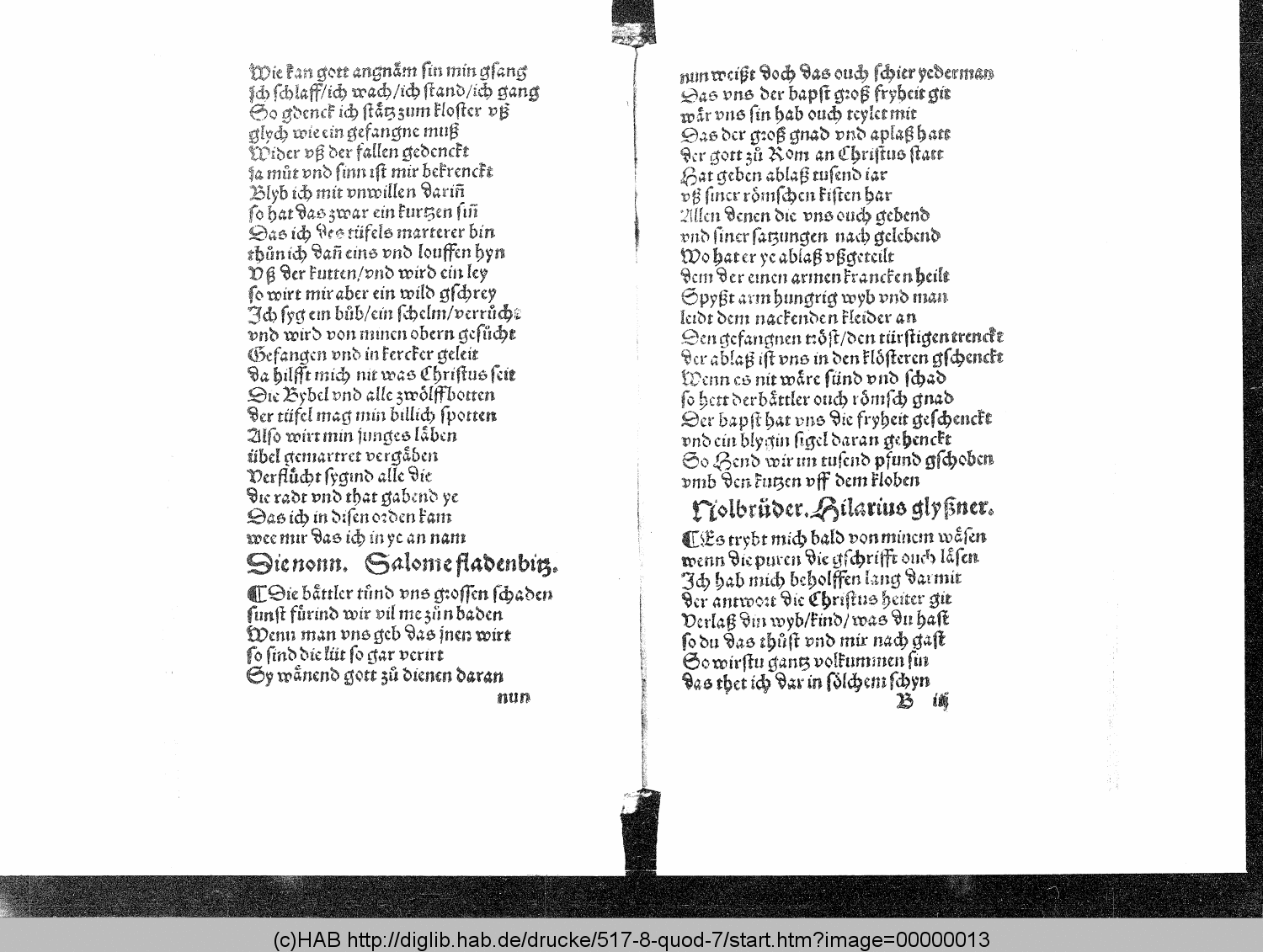 http://diglib.hab.de/drucke/517-8-quod-7/00000013.gif