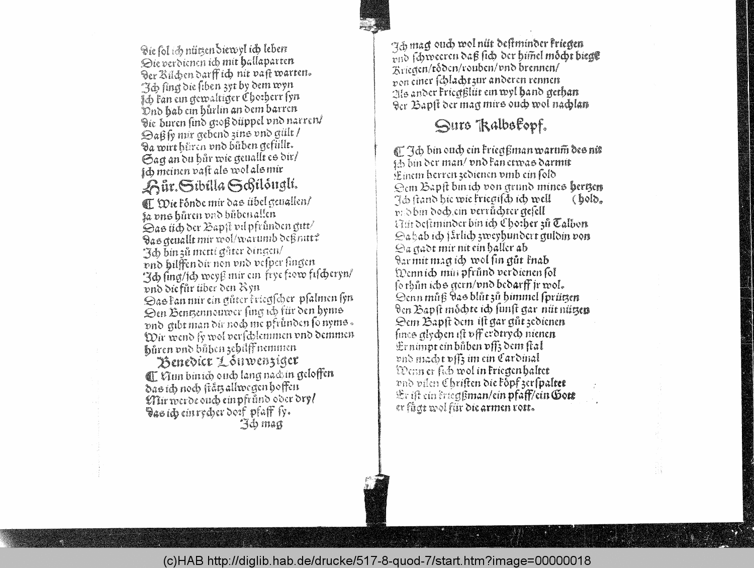 http://diglib.hab.de/drucke/517-8-quod-7/00000018.gif