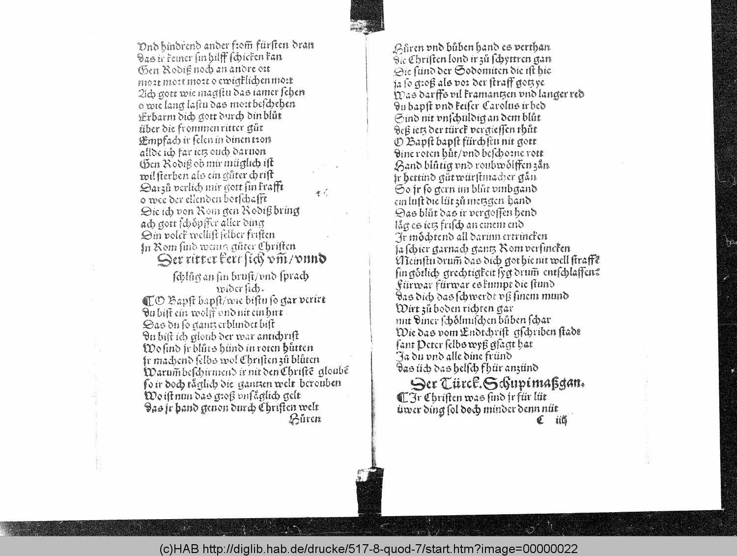http://diglib.hab.de/drucke/517-8-quod-7/00000022.gif