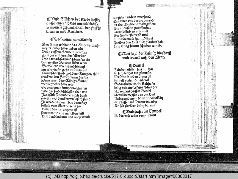 http://diglib.hab.de/drucke/517-8-quod-9/min/00000017.gif