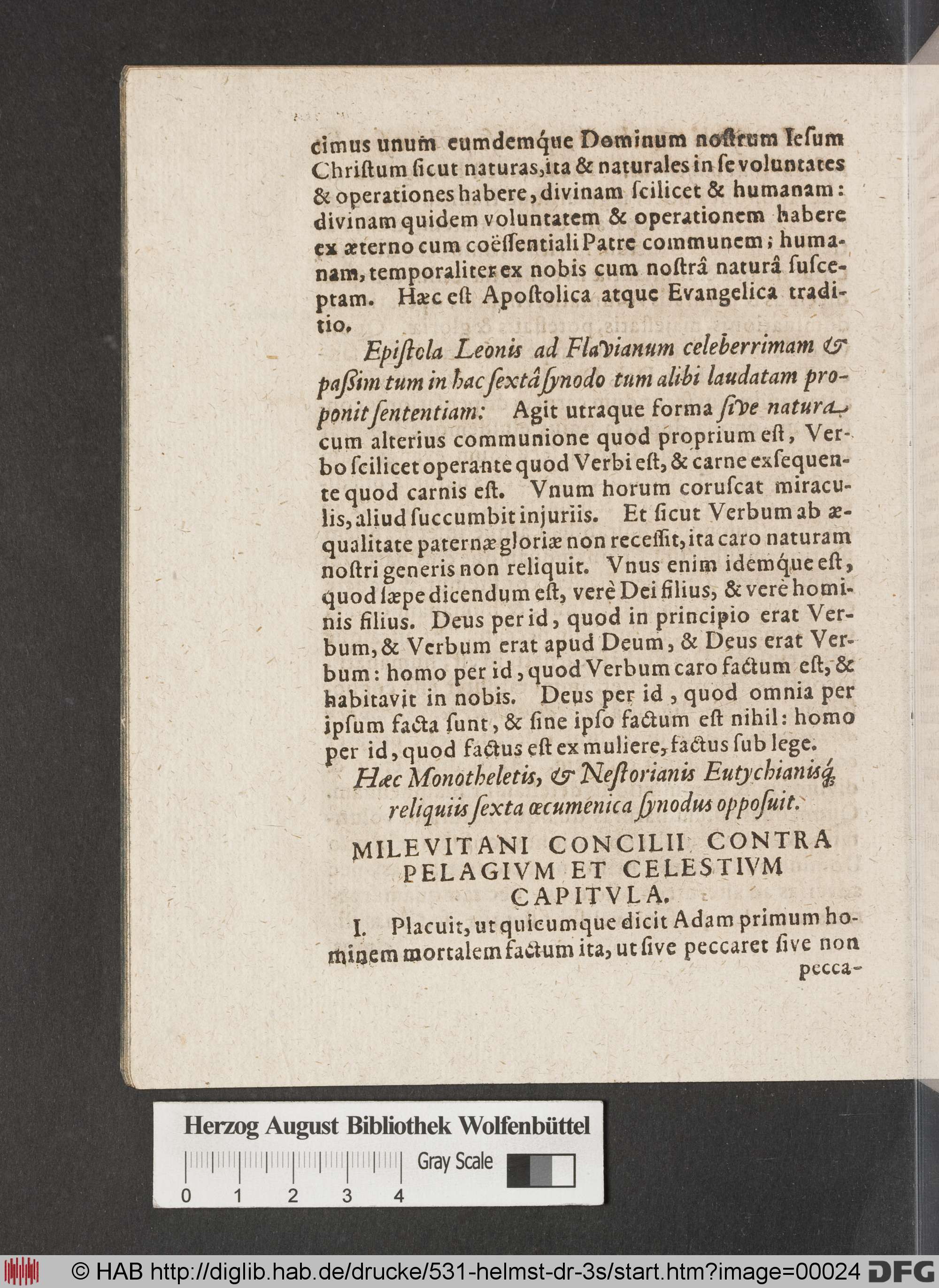 http://diglib.hab.de/drucke/531-helmst-dr-3s/max/00024.jpg