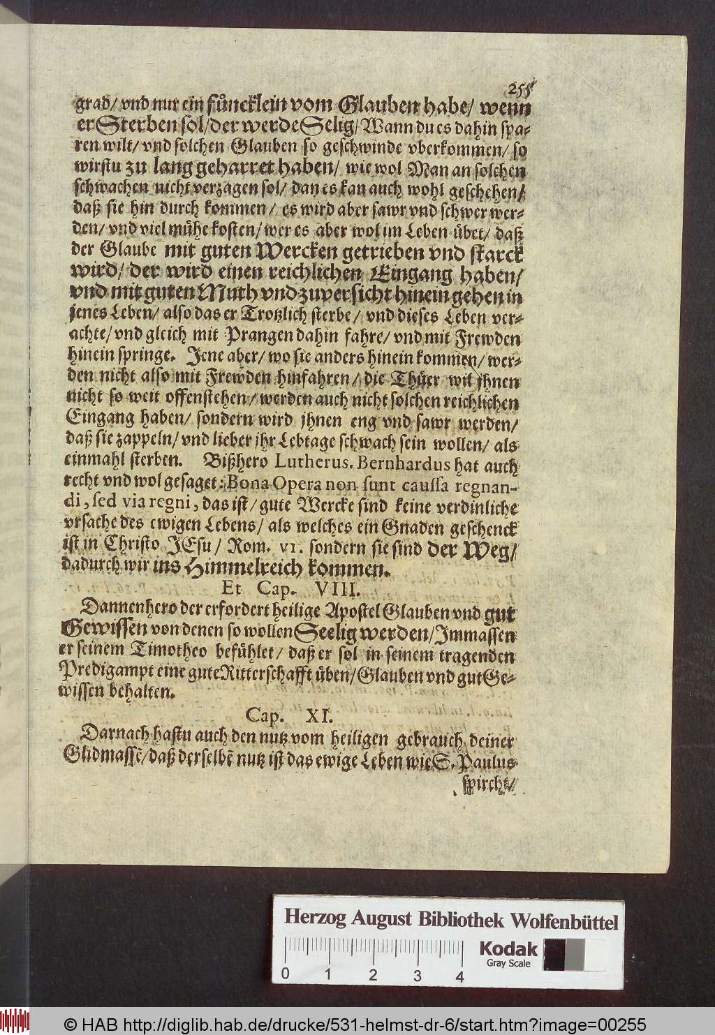 http://diglib.hab.de/drucke/531-helmst-dr-6/00255.jpg