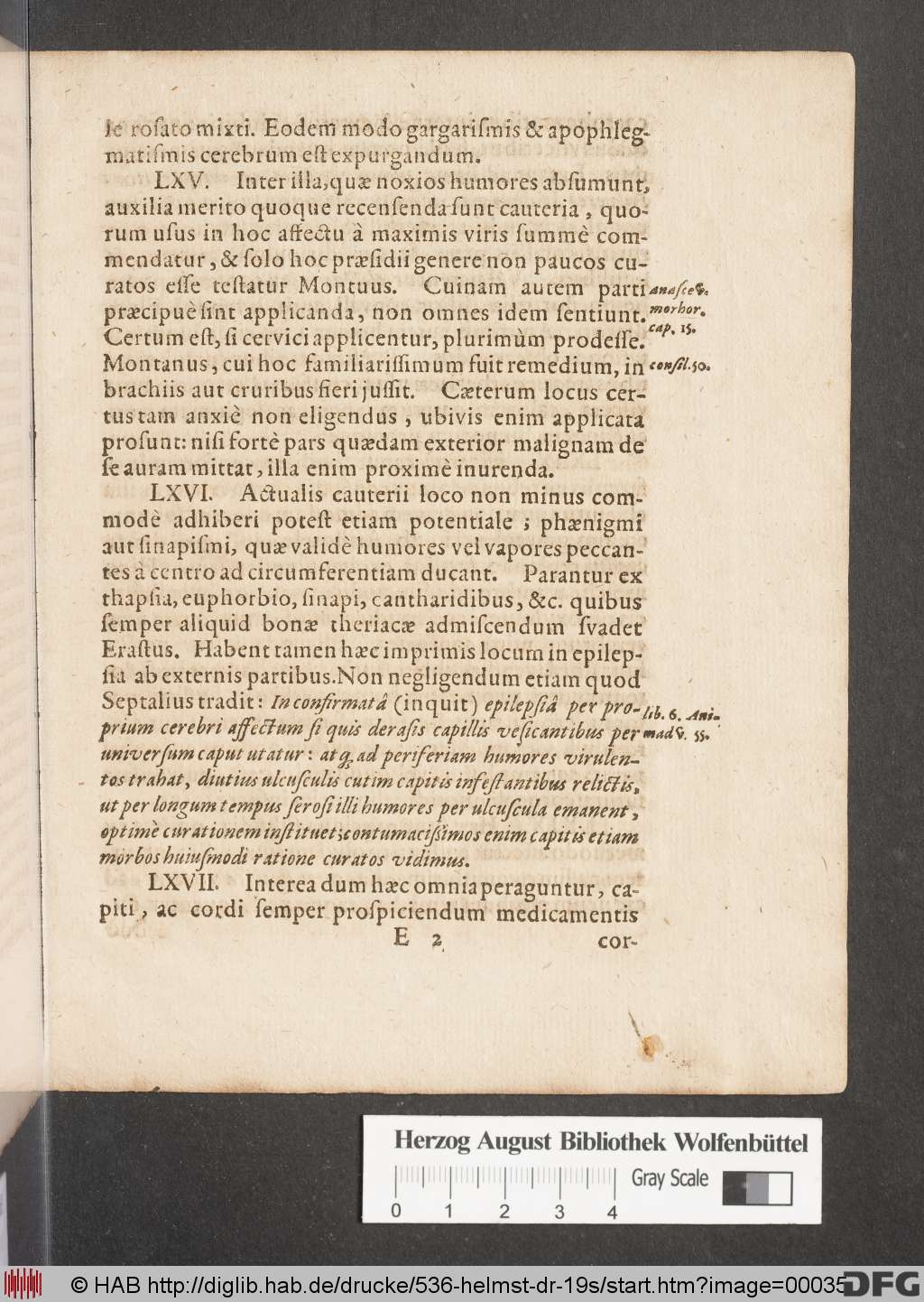 http://diglib.hab.de/drucke/536-helmst-dr-19s/00035.jpg