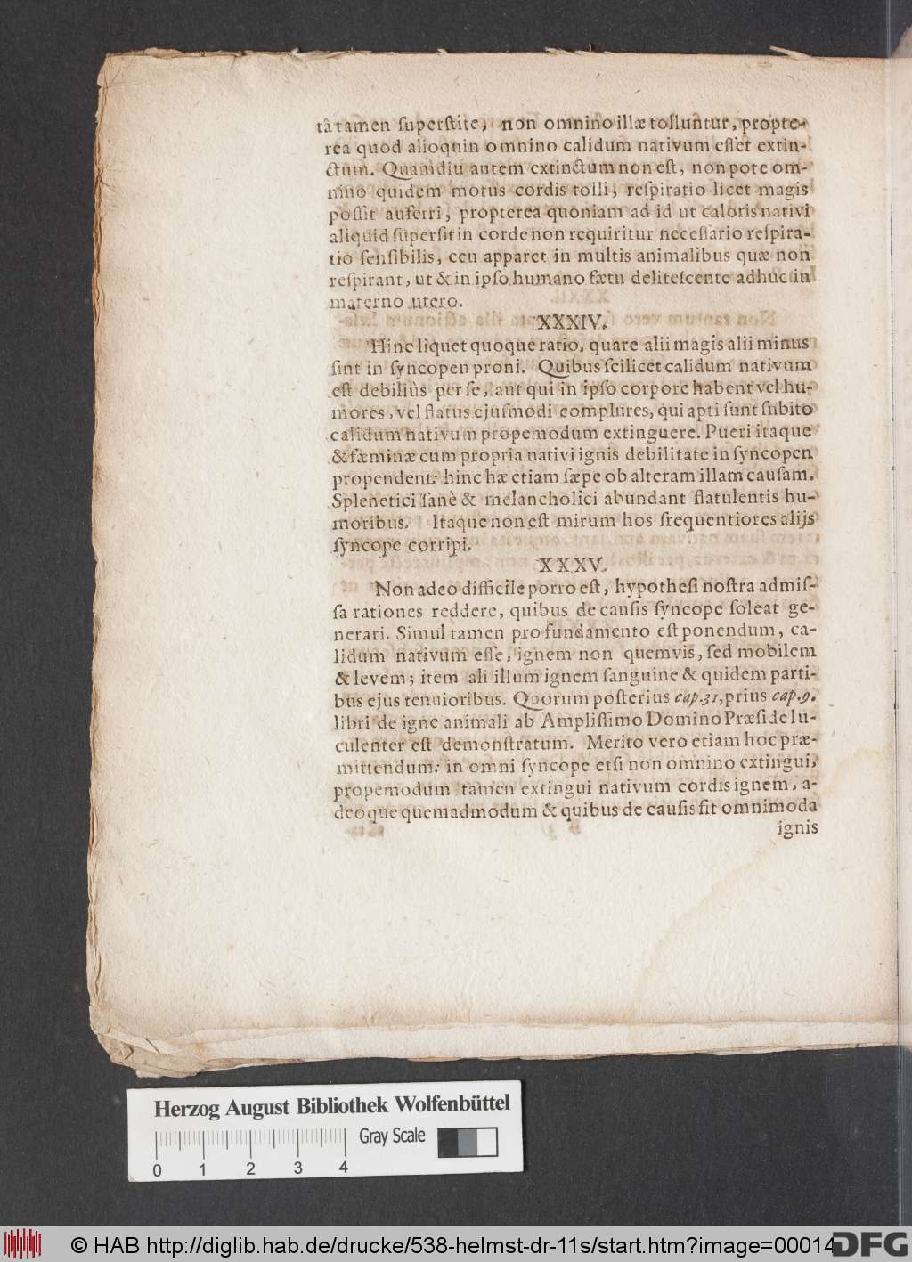 http://diglib.hab.de/drucke/538-helmst-dr-11s/00014.jpg