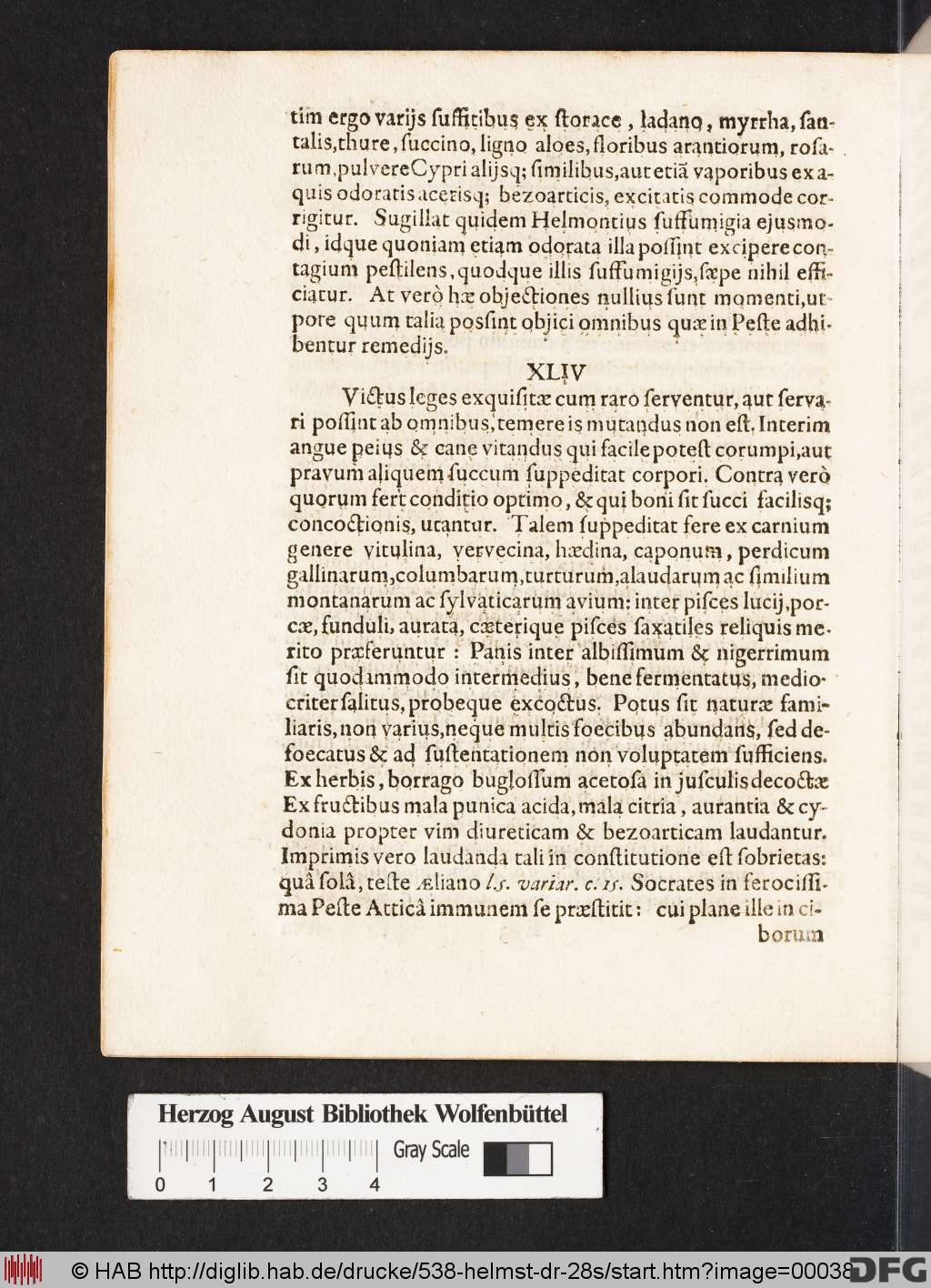 http://diglib.hab.de/drucke/538-helmst-dr-28s/00038.jpg