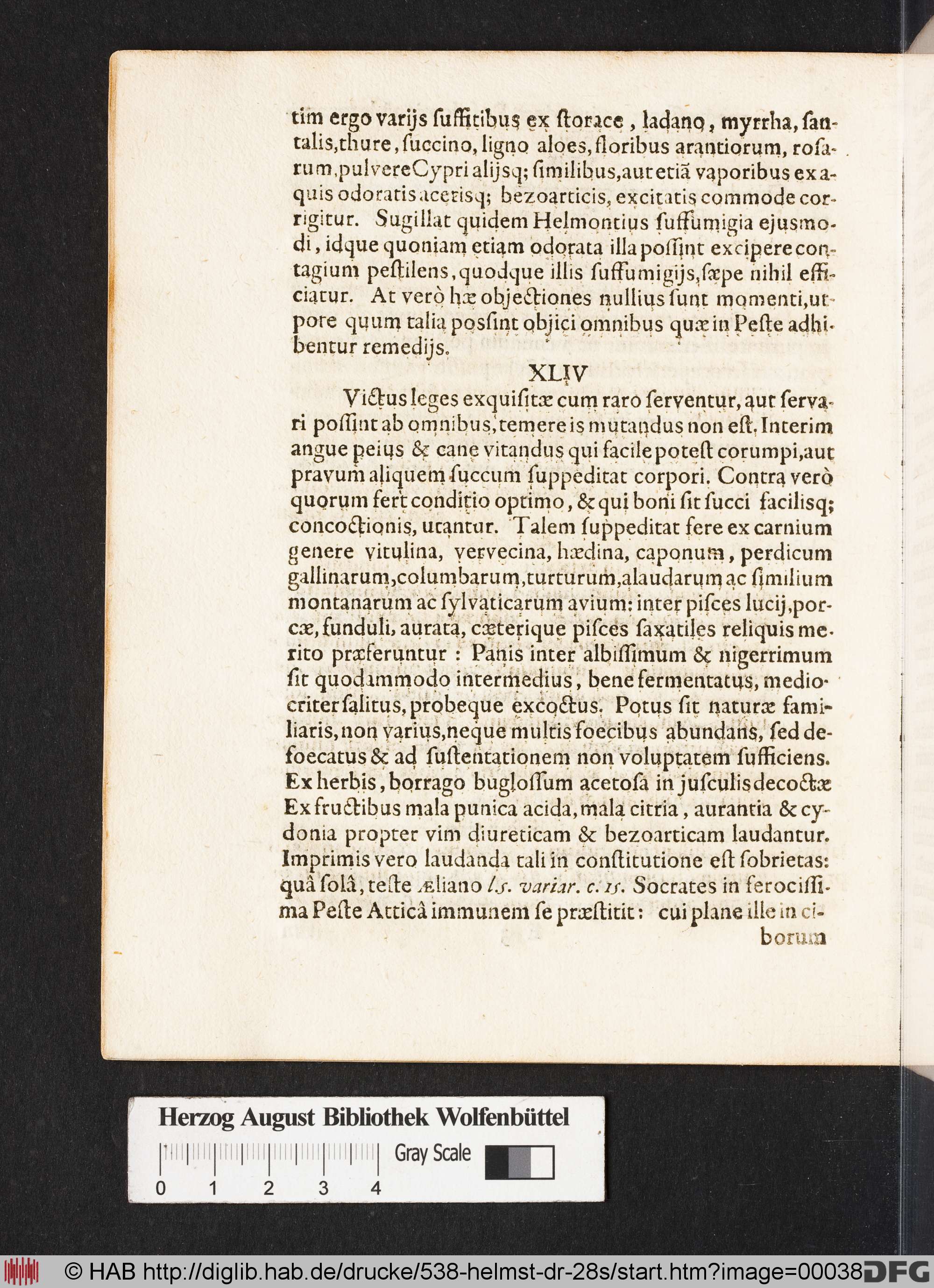 http://diglib.hab.de/drucke/538-helmst-dr-28s/max/00038.jpg