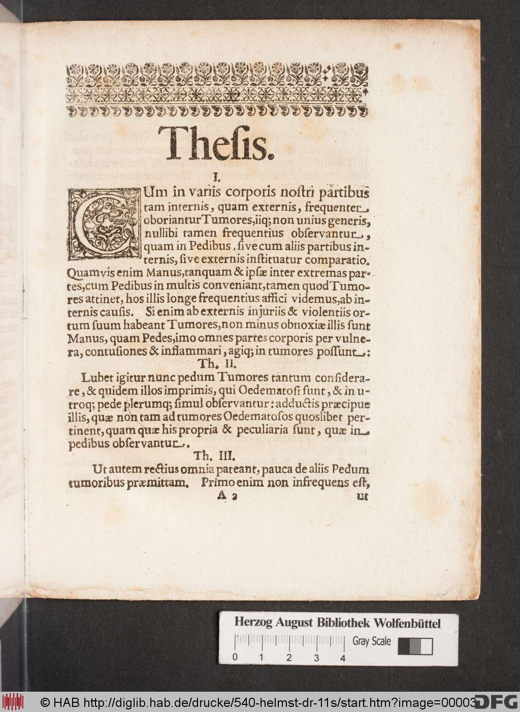 http://diglib.hab.de/drucke/540-helmst-dr-11s/00003.jpg