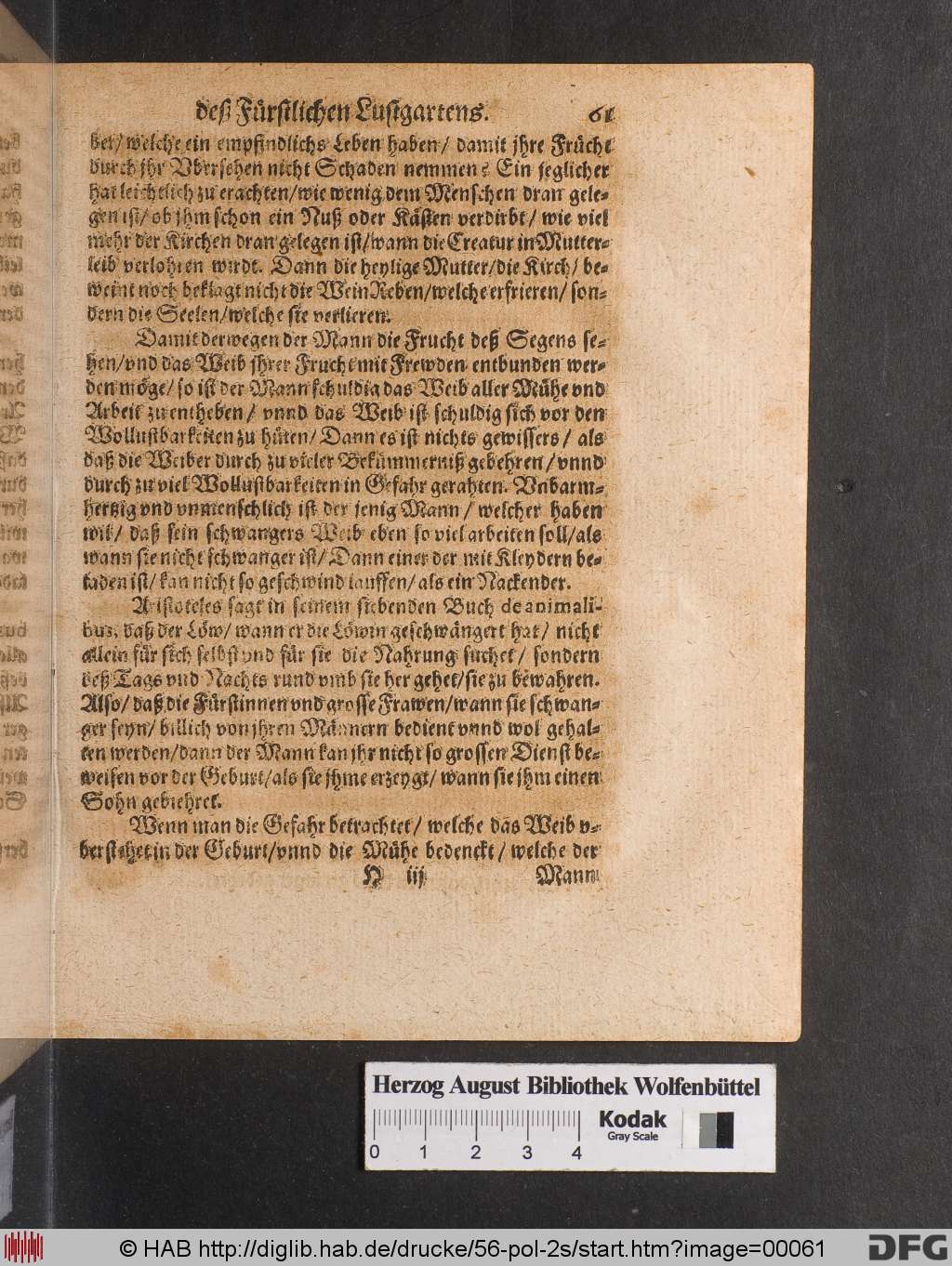 http://diglib.hab.de/drucke/56-pol-2s/00061.jpg