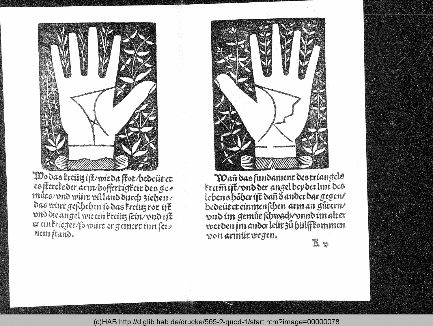 http://diglib.hab.de/drucke/565-2-quod-1/00000078.gif
