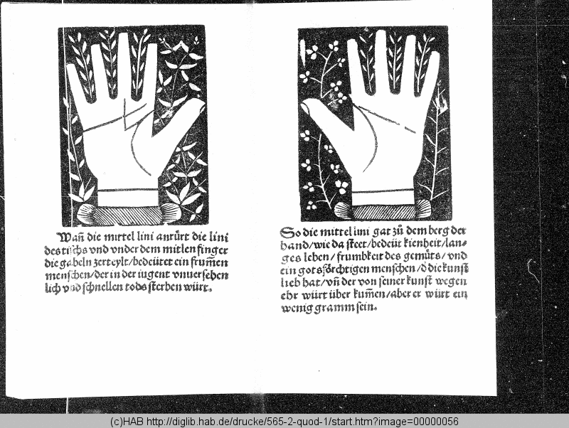 http://diglib.hab.de/drucke/565-2-quod-1/min/00000056.gif