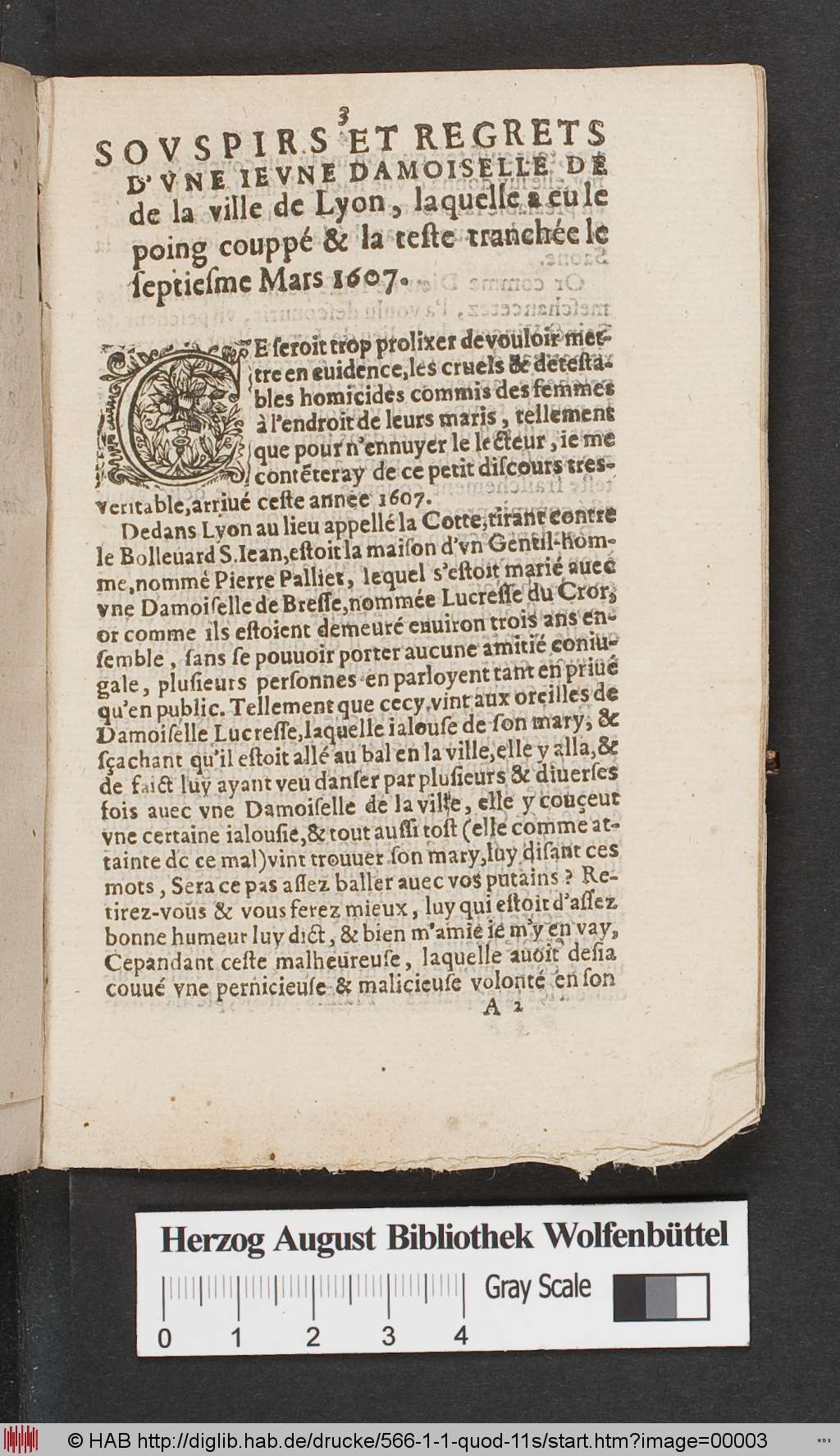 http://diglib.hab.de/drucke/566-1-1-quod-11s/00003.jpg