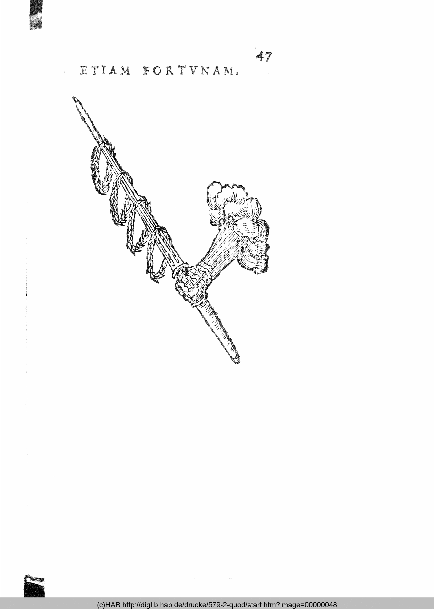 http://diglib.hab.de/drucke/579-2-quod/00000048.gif