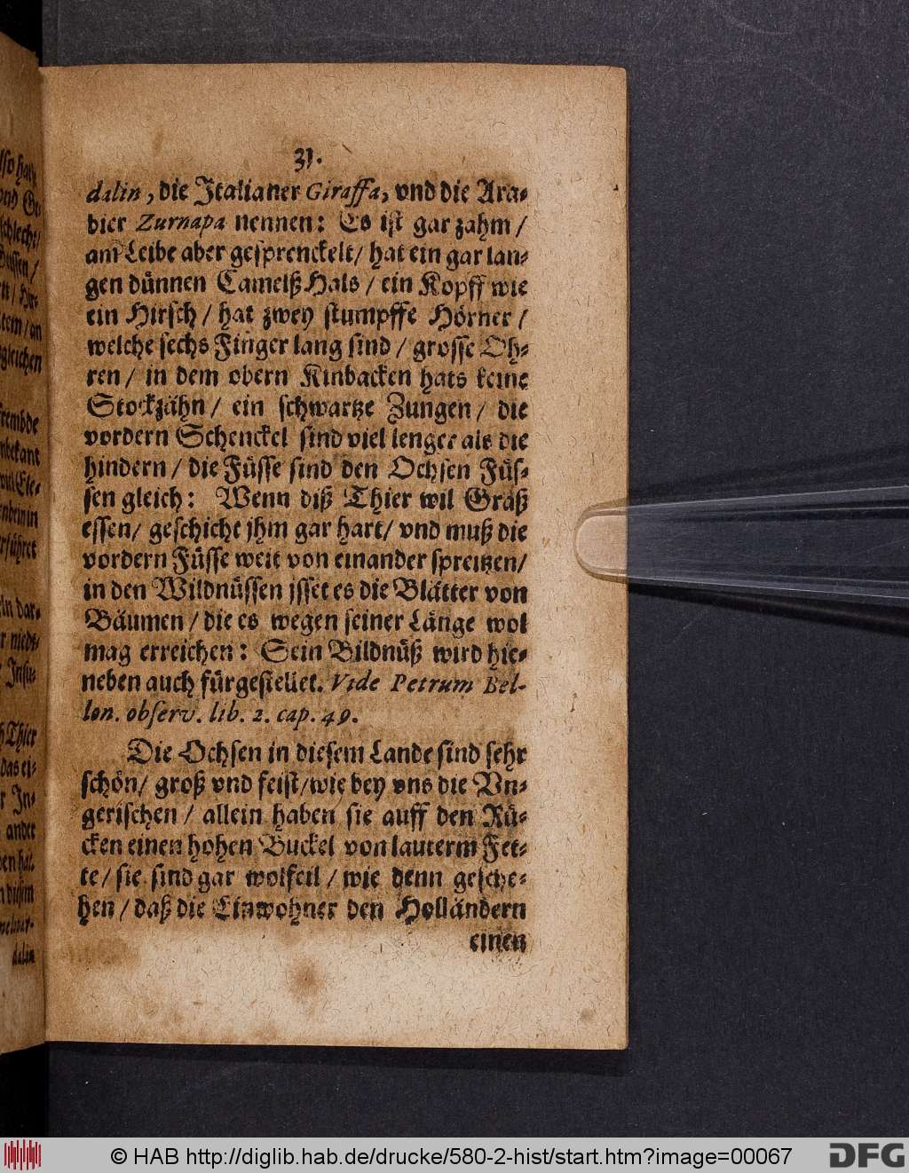 http://diglib.hab.de/drucke/580-2-hist/00067.jpg