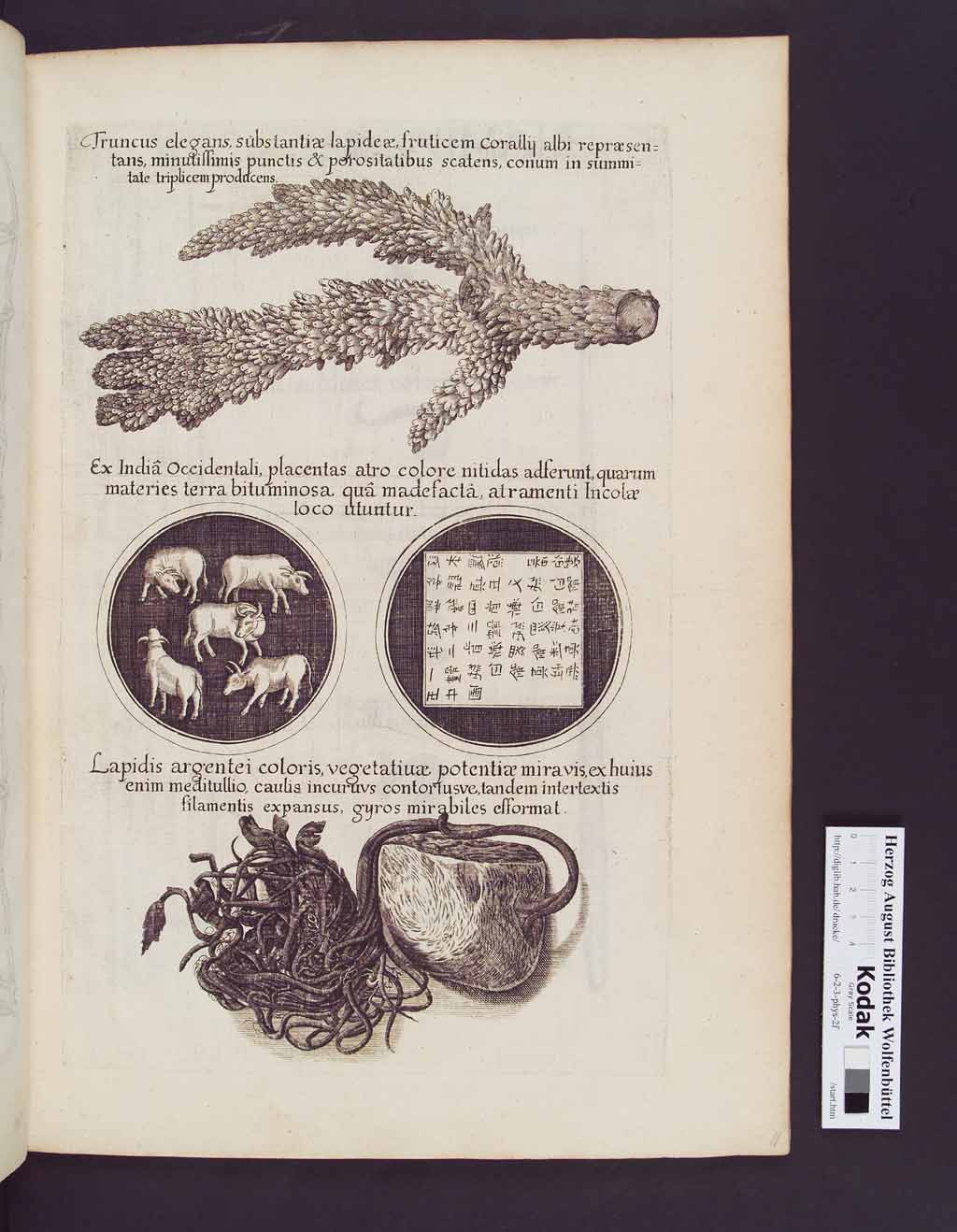 http://diglib.hab.de/drucke/6-2-3-phys-2f/00027.jpg