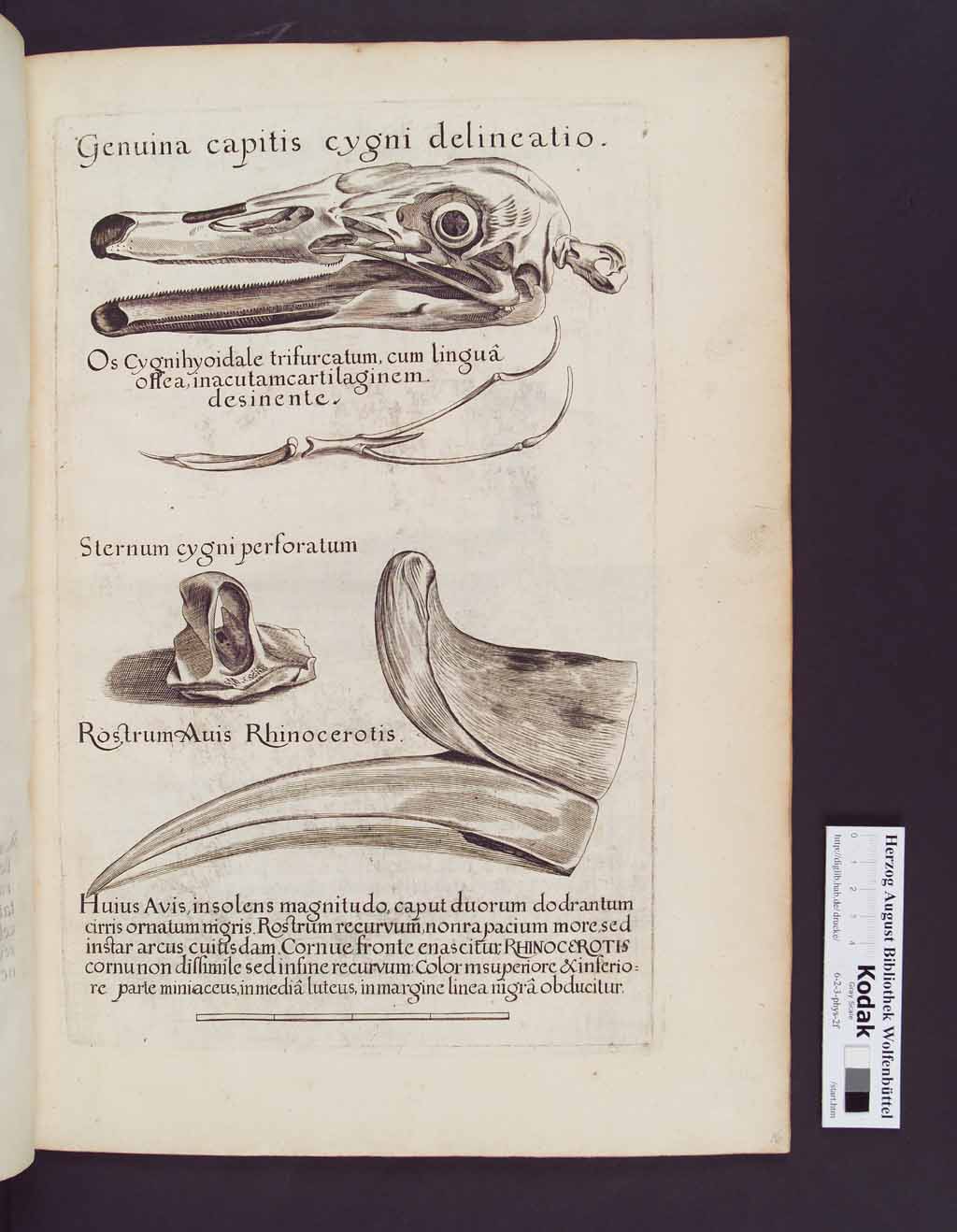 http://diglib.hab.de/drucke/6-2-3-phys-2f/00037.jpg