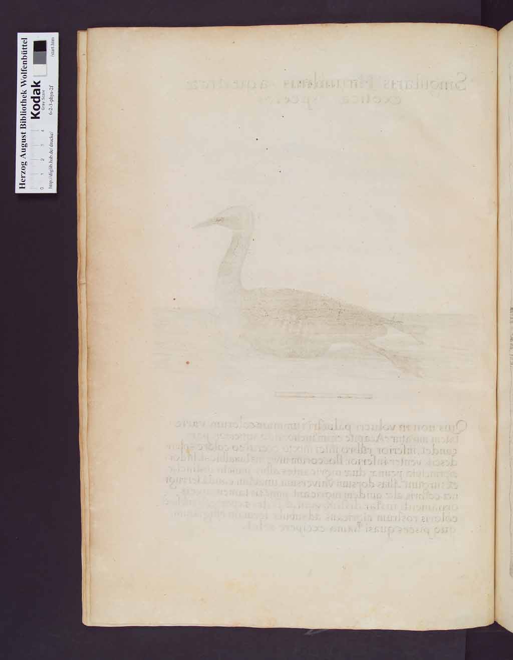 http://diglib.hab.de/drucke/6-2-3-phys-2f/00040.jpg