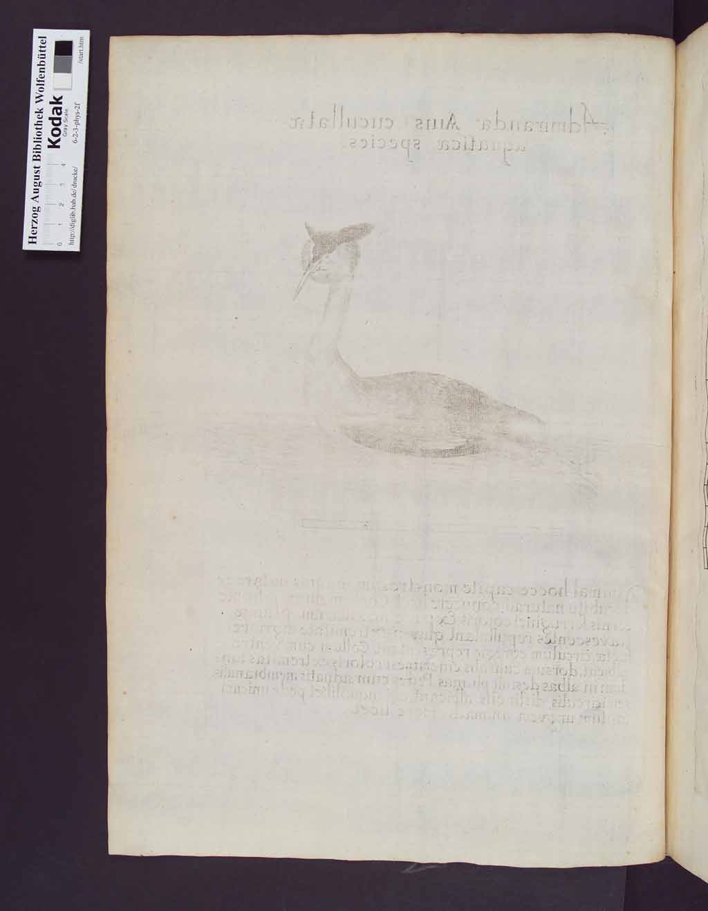 http://diglib.hab.de/drucke/6-2-3-phys-2f/00042.jpg