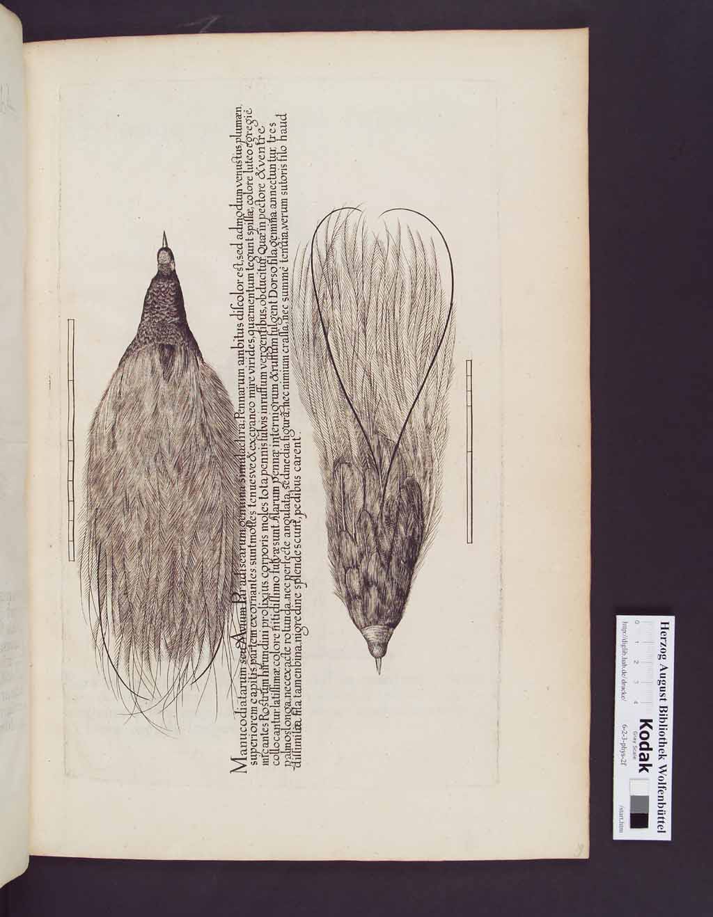 http://diglib.hab.de/drucke/6-2-3-phys-2f/00043.jpg