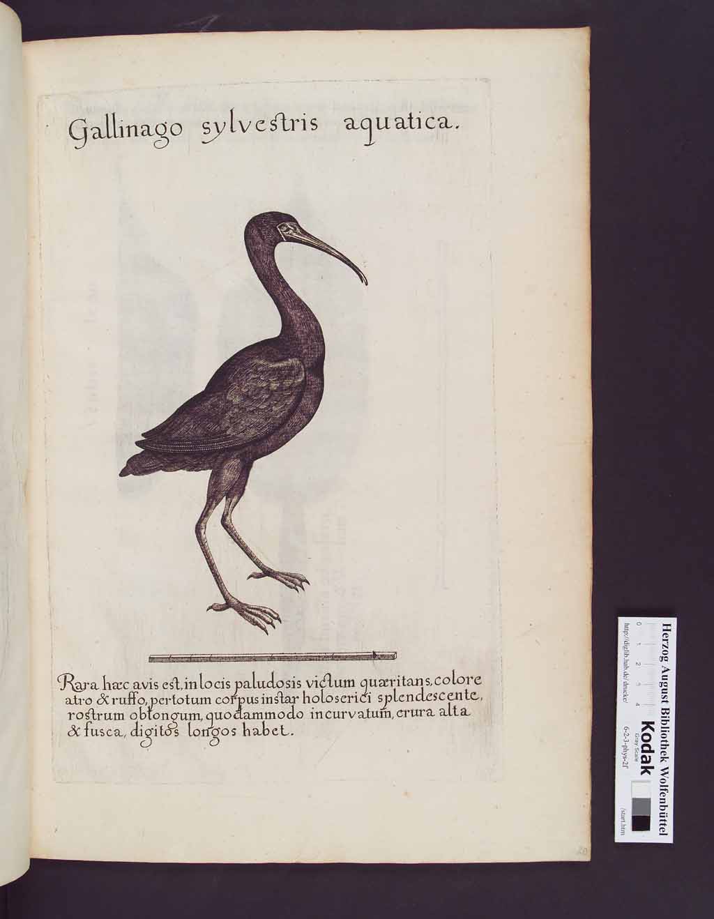 http://diglib.hab.de/drucke/6-2-3-phys-2f/00045.jpg