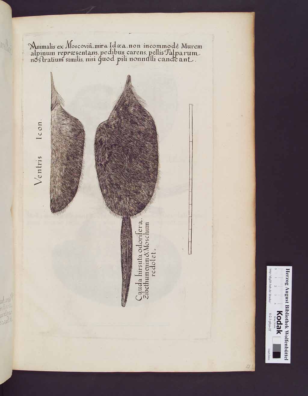 http://diglib.hab.de/drucke/6-2-3-phys-2f/00047.jpg