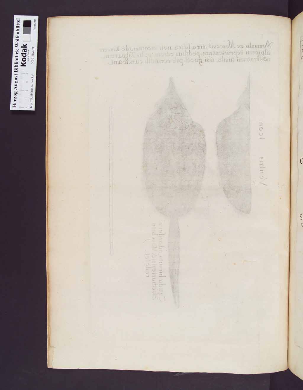 http://diglib.hab.de/drucke/6-2-3-phys-2f/00048.jpg