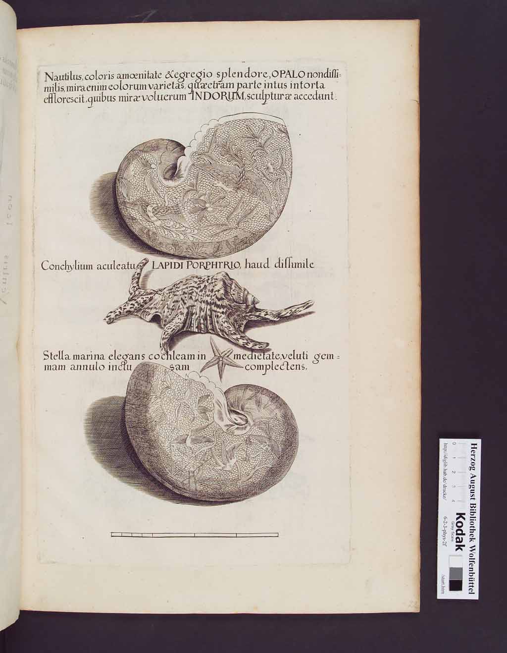 http://diglib.hab.de/drucke/6-2-3-phys-2f/00049.jpg