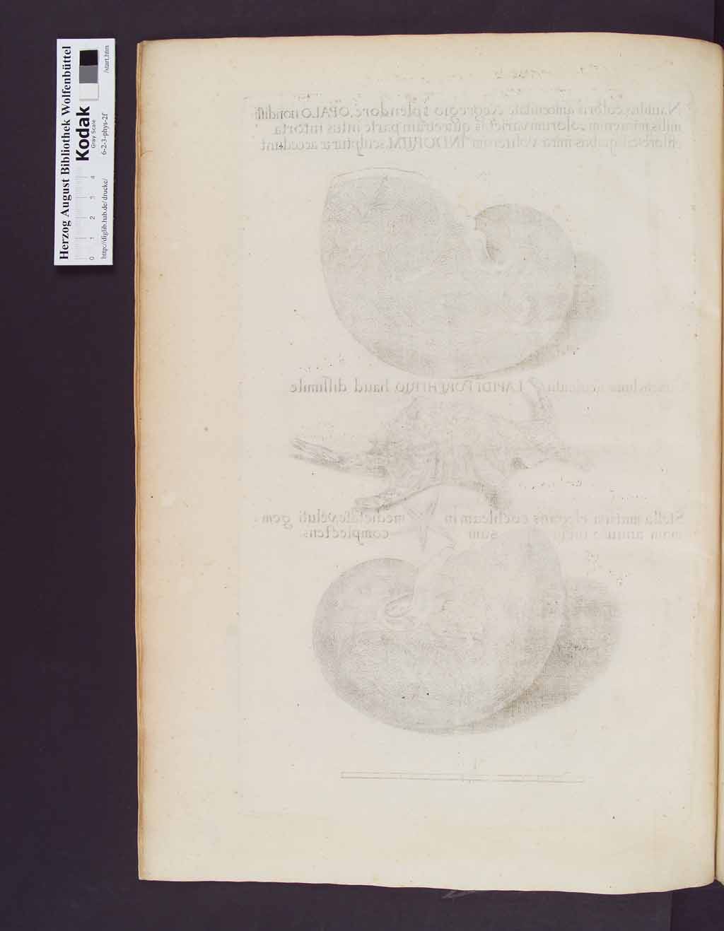 http://diglib.hab.de/drucke/6-2-3-phys-2f/00050.jpg