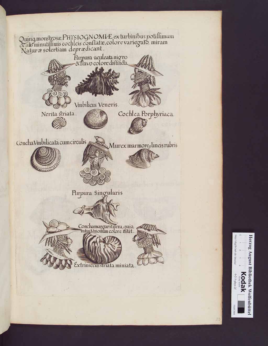 http://diglib.hab.de/drucke/6-2-3-phys-2f/00051.jpg