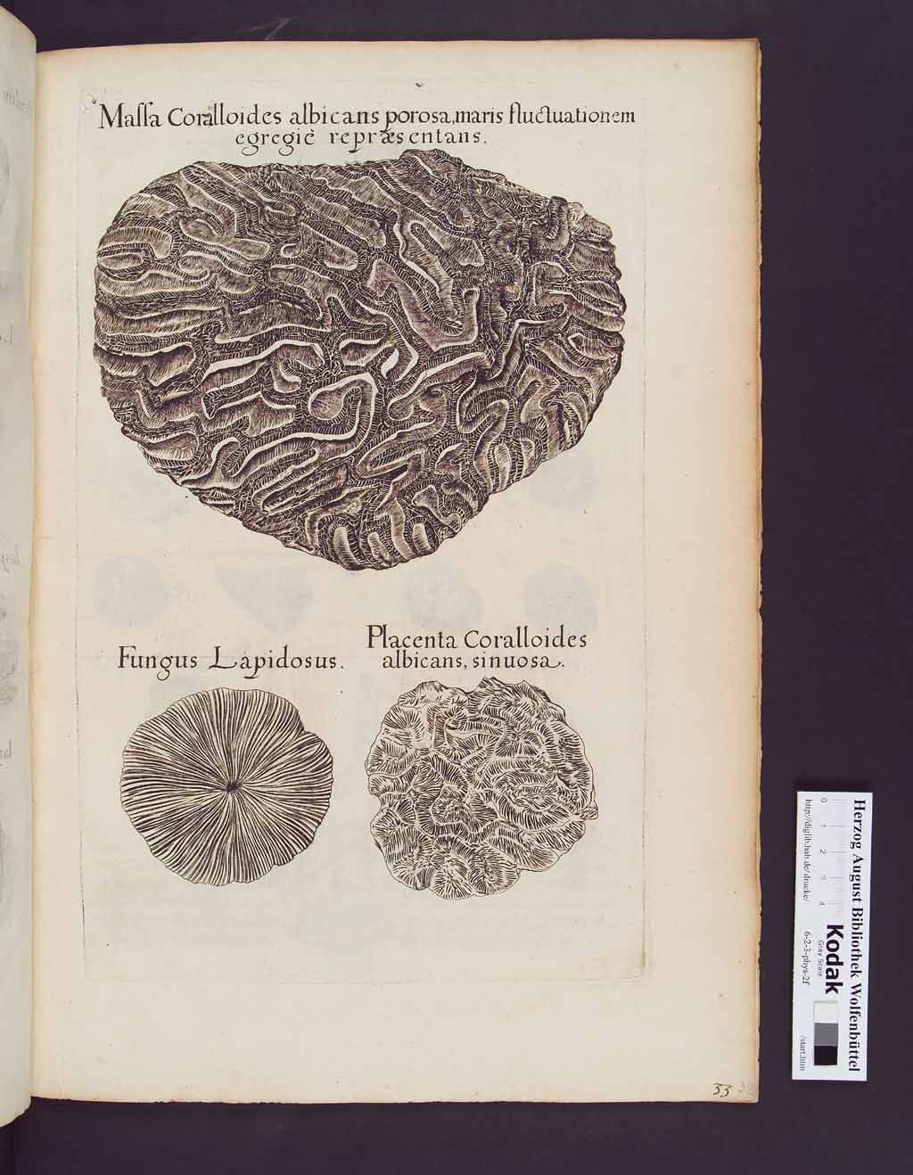 http://diglib.hab.de/drucke/6-2-3-phys-2f/00069.jpg