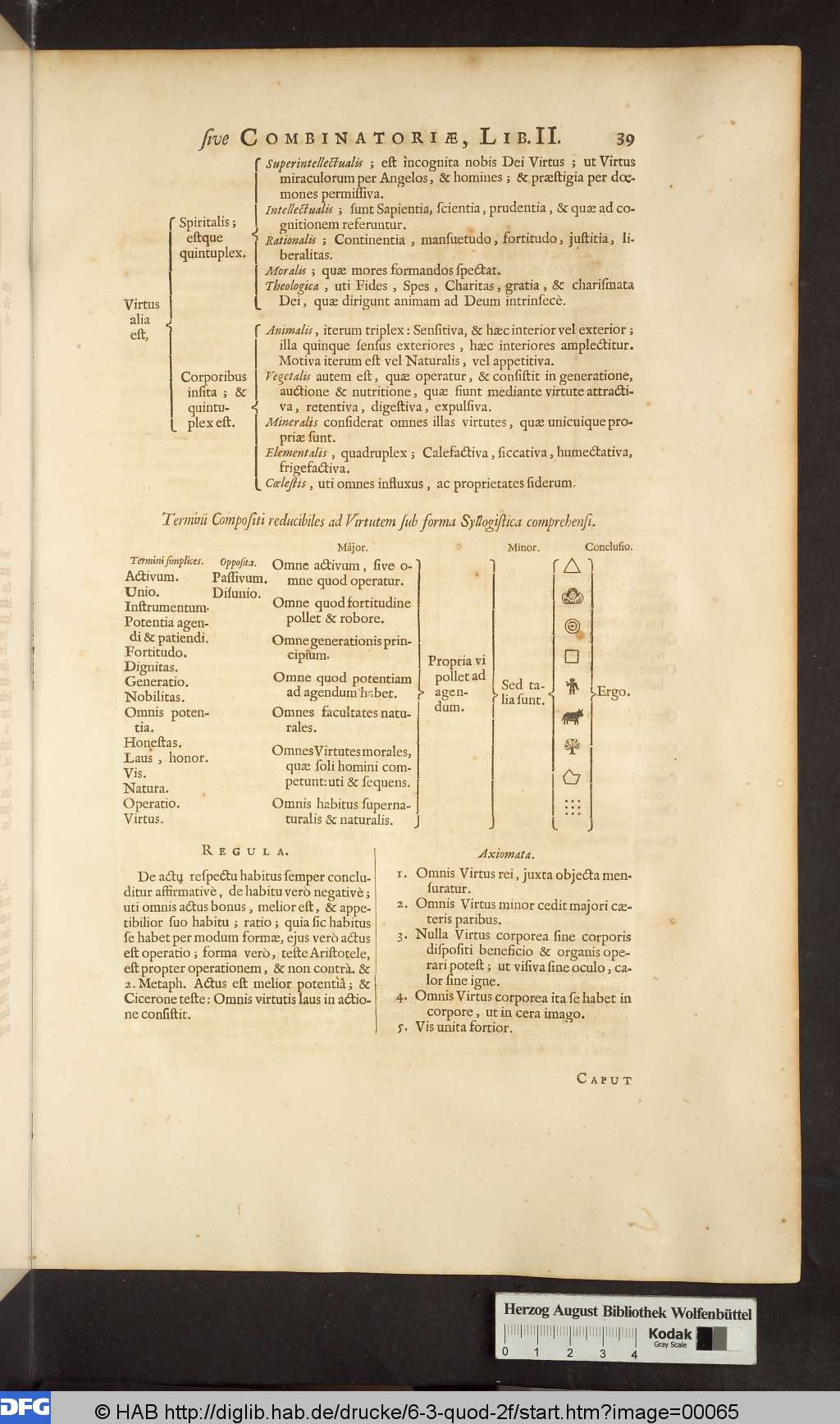 http://diglib.hab.de/drucke/6-3-quod-2f/00065.jpg