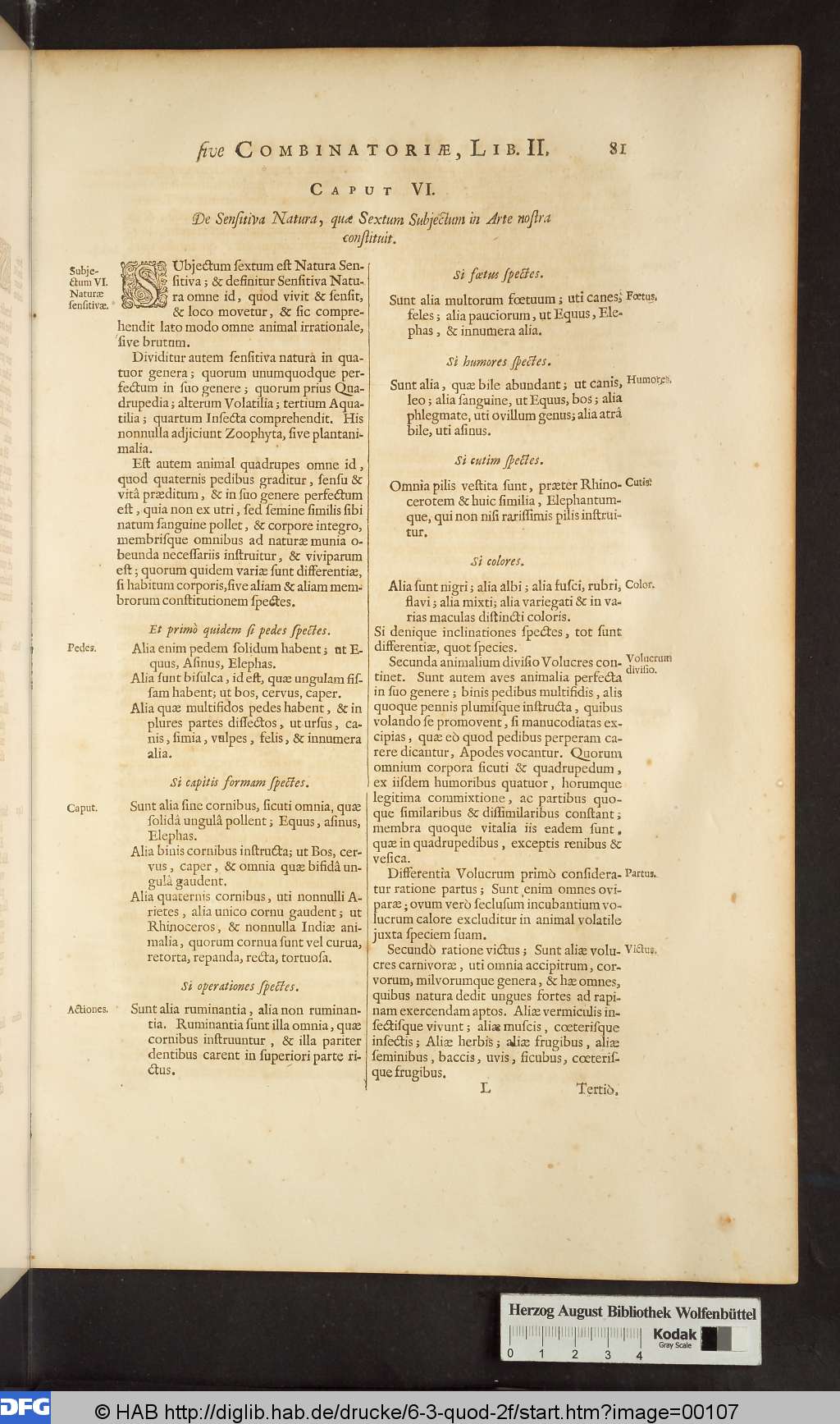 http://diglib.hab.de/drucke/6-3-quod-2f/00107.jpg