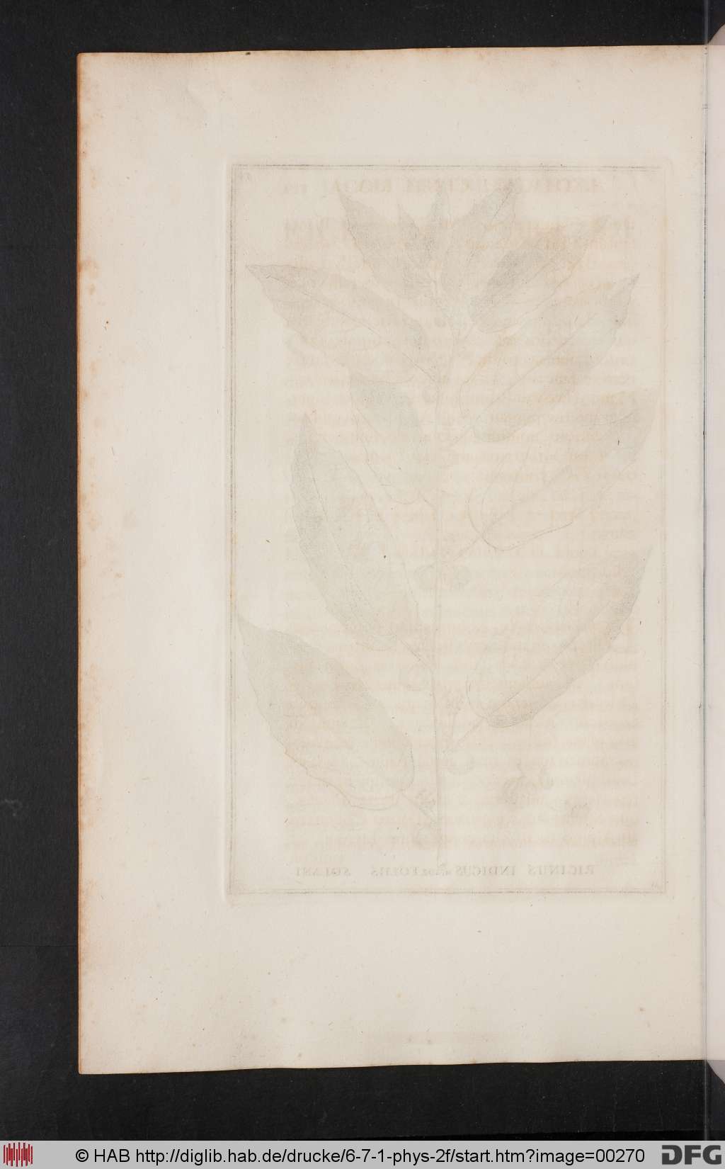 http://diglib.hab.de/drucke/6-7-1-phys-2f/00270.jpg