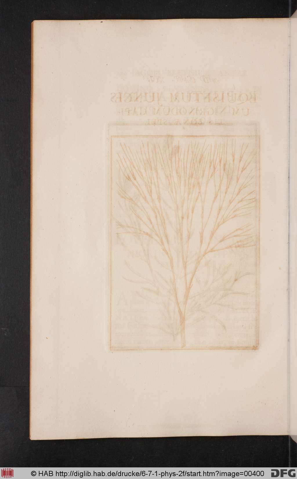 http://diglib.hab.de/drucke/6-7-1-phys-2f/00400.jpg