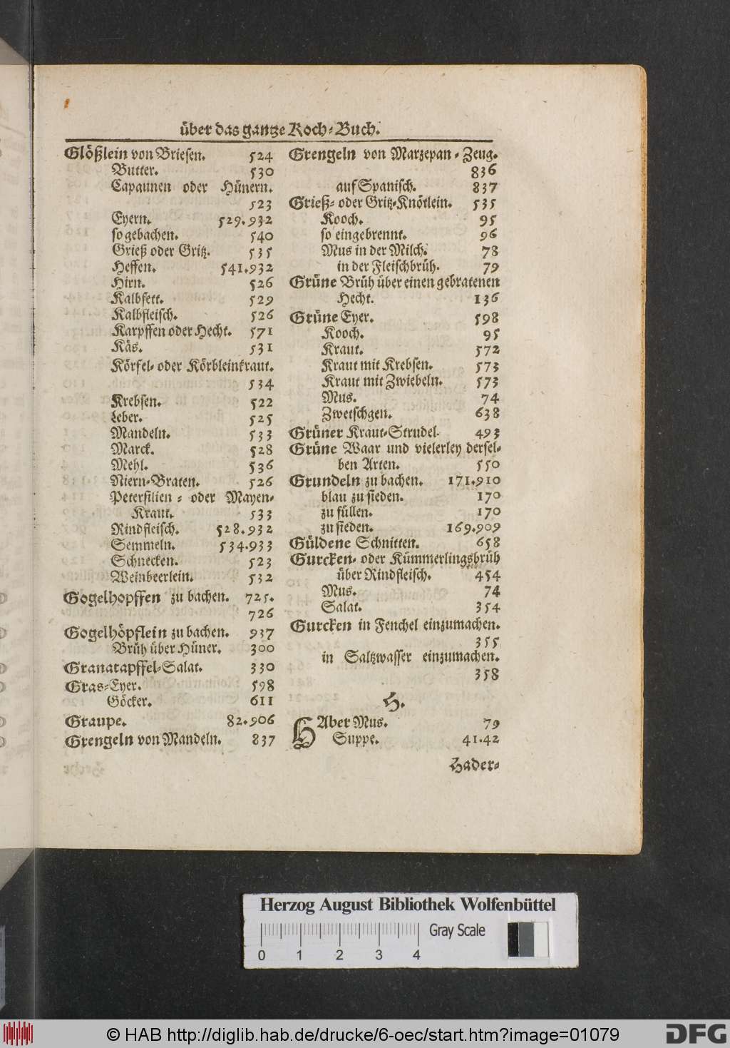 http://diglib.hab.de/drucke/6-oec/01079.jpg