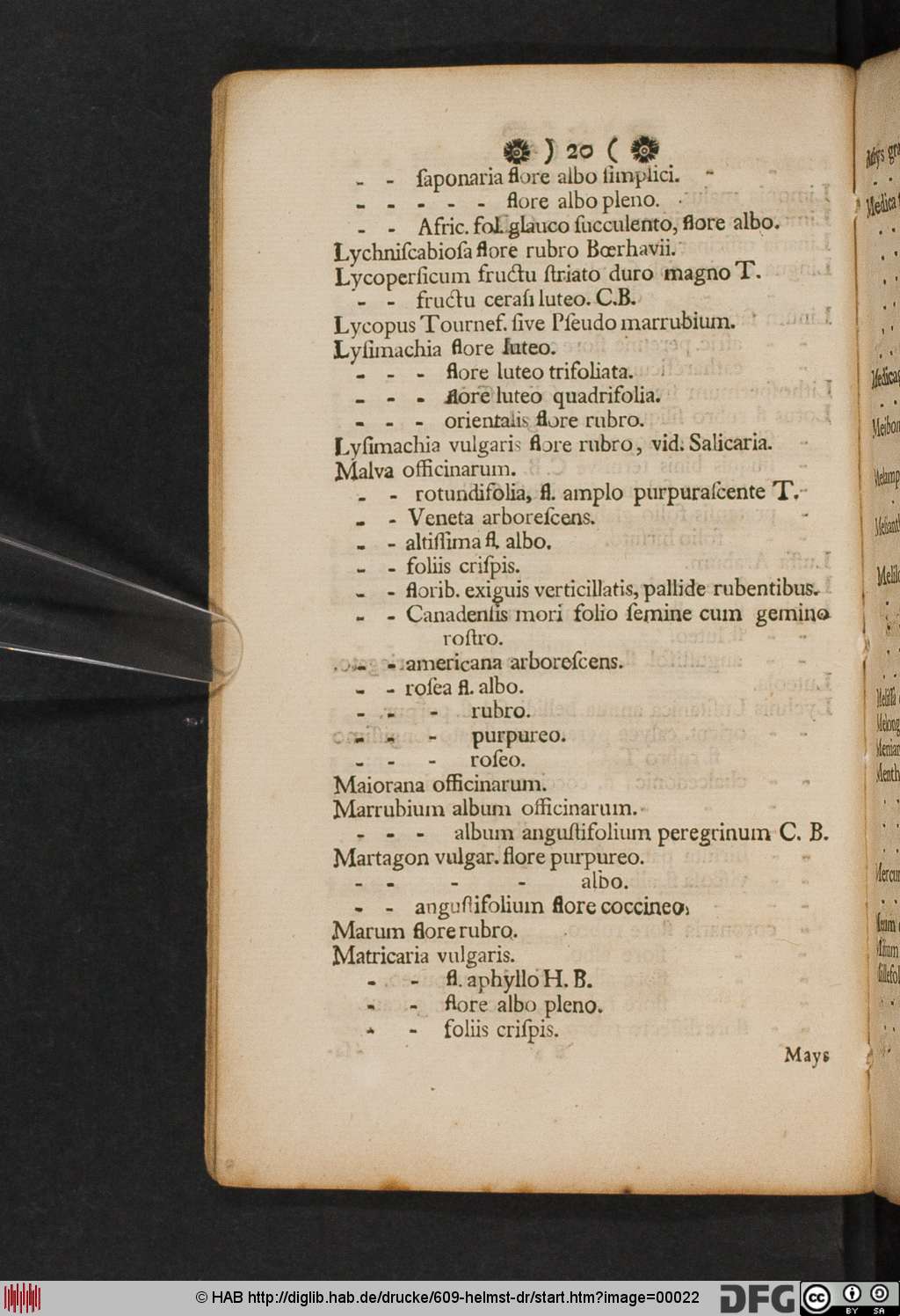 http://diglib.hab.de/drucke/609-helmst-dr/00022.jpg