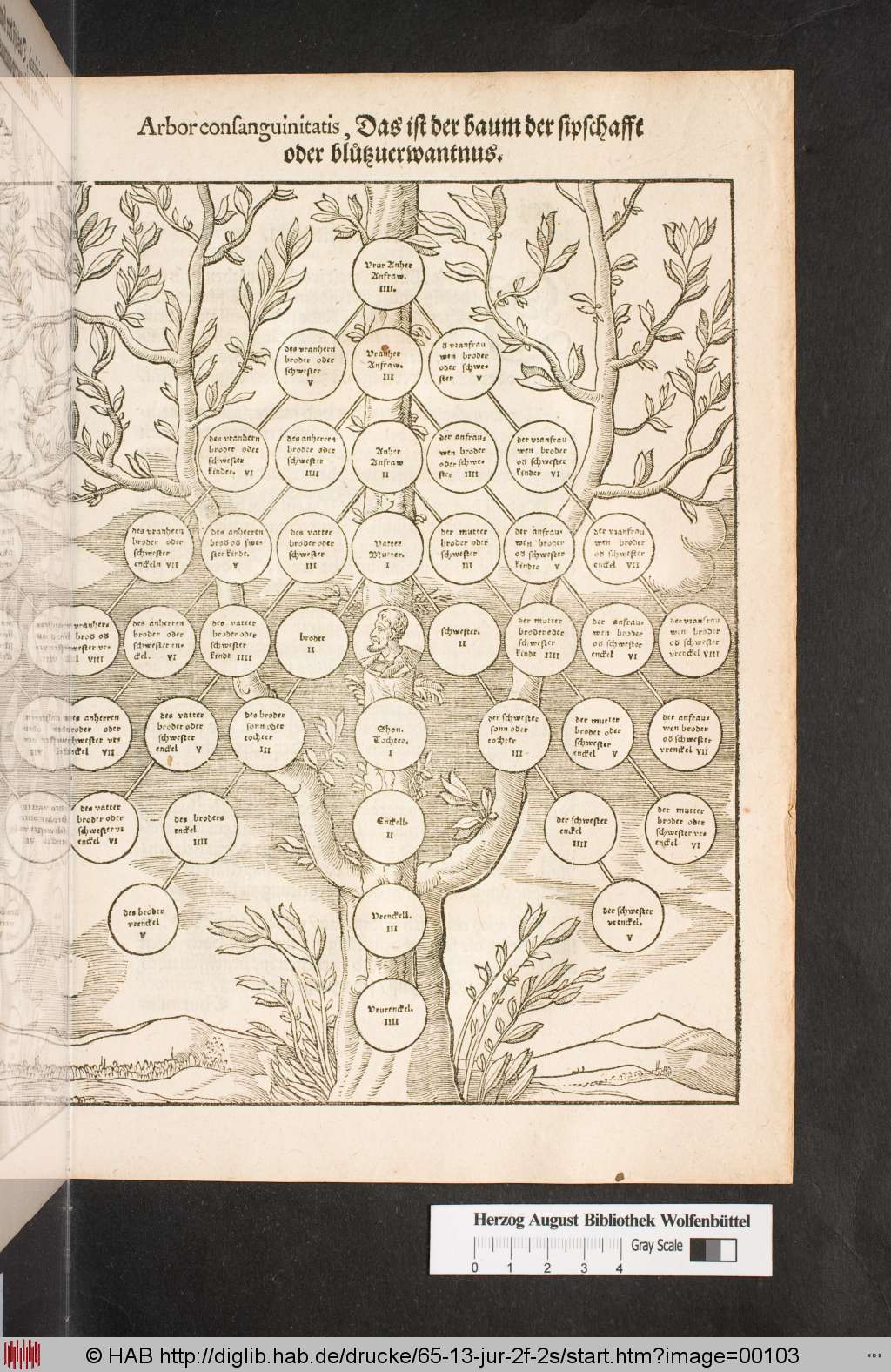 http://diglib.hab.de/drucke/65-13-jur-2f-2s/00103.jpg