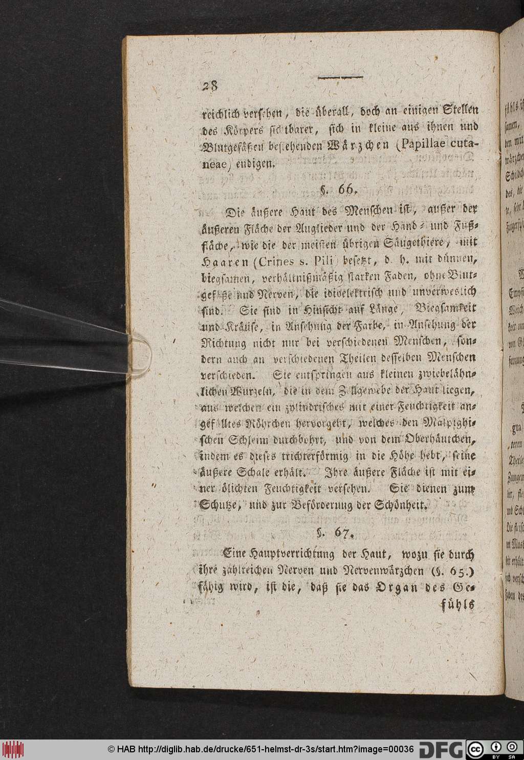 http://diglib.hab.de/drucke/651-helmst-dr-3s/00036.jpg