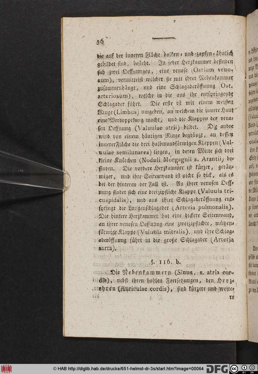 http://diglib.hab.de/drucke/651-helmst-dr-3s/00064.jpg