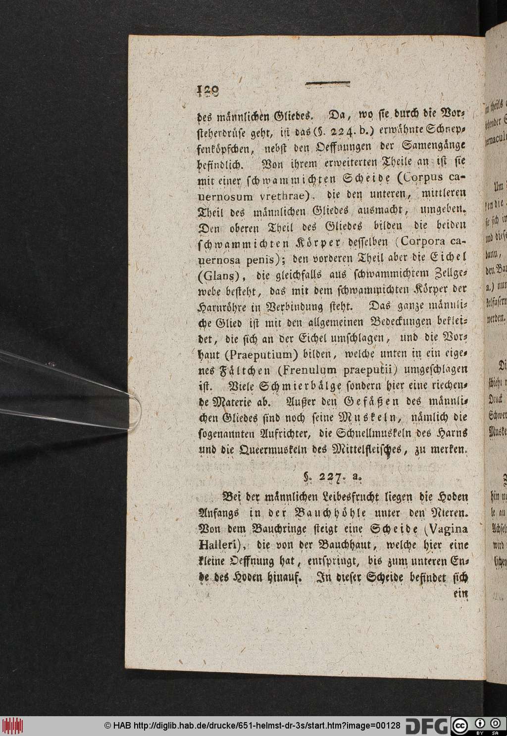http://diglib.hab.de/drucke/651-helmst-dr-3s/00128.jpg