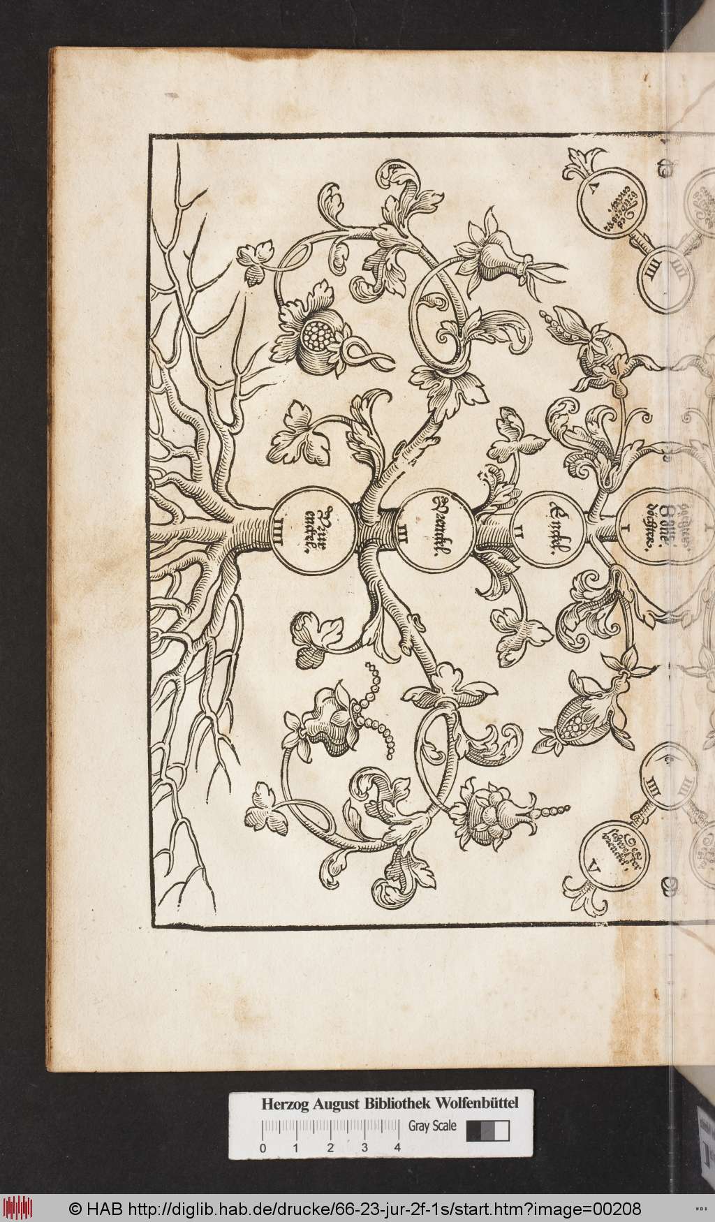http://diglib.hab.de/drucke/66-23-jur-2f-1s/00208.jpg