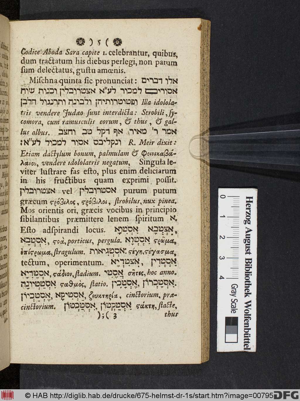 http://diglib.hab.de/drucke/675-helmst-dr-1s/00795.jpg