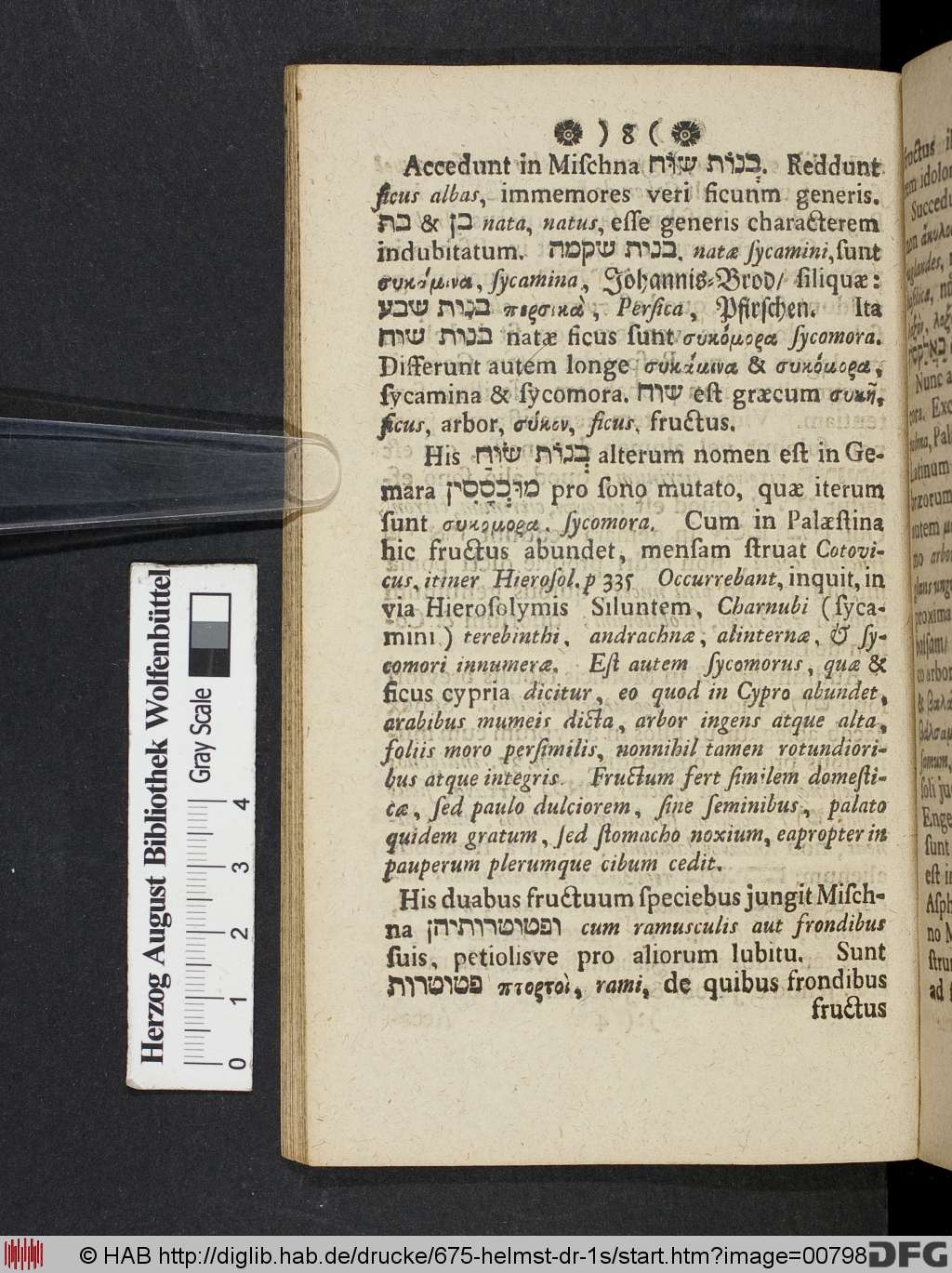 http://diglib.hab.de/drucke/675-helmst-dr-1s/00798.jpg