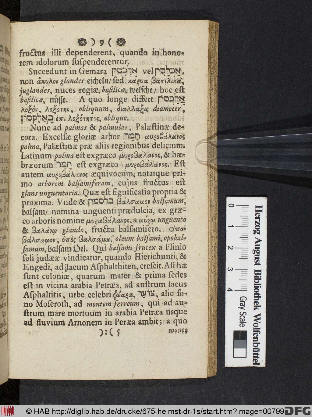 http://diglib.hab.de/drucke/675-helmst-dr-1s/00799.jpg