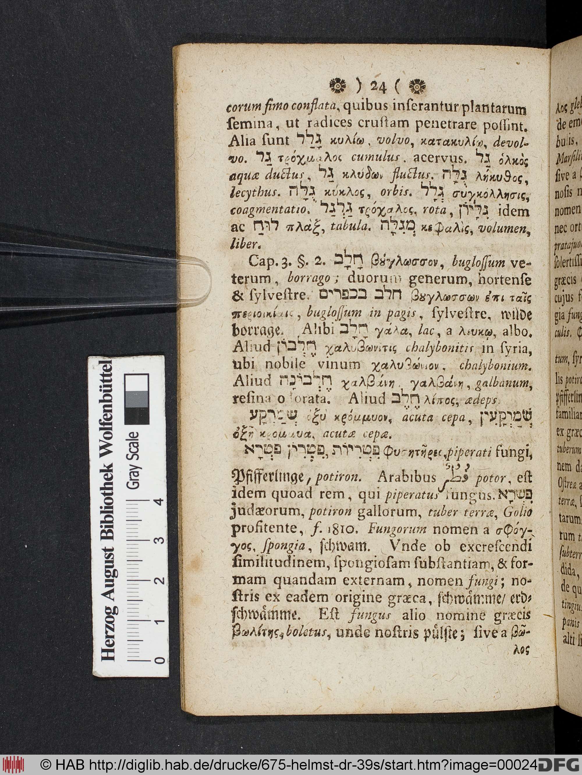 http://diglib.hab.de/drucke/675-helmst-dr-39s/max/00024.jpg