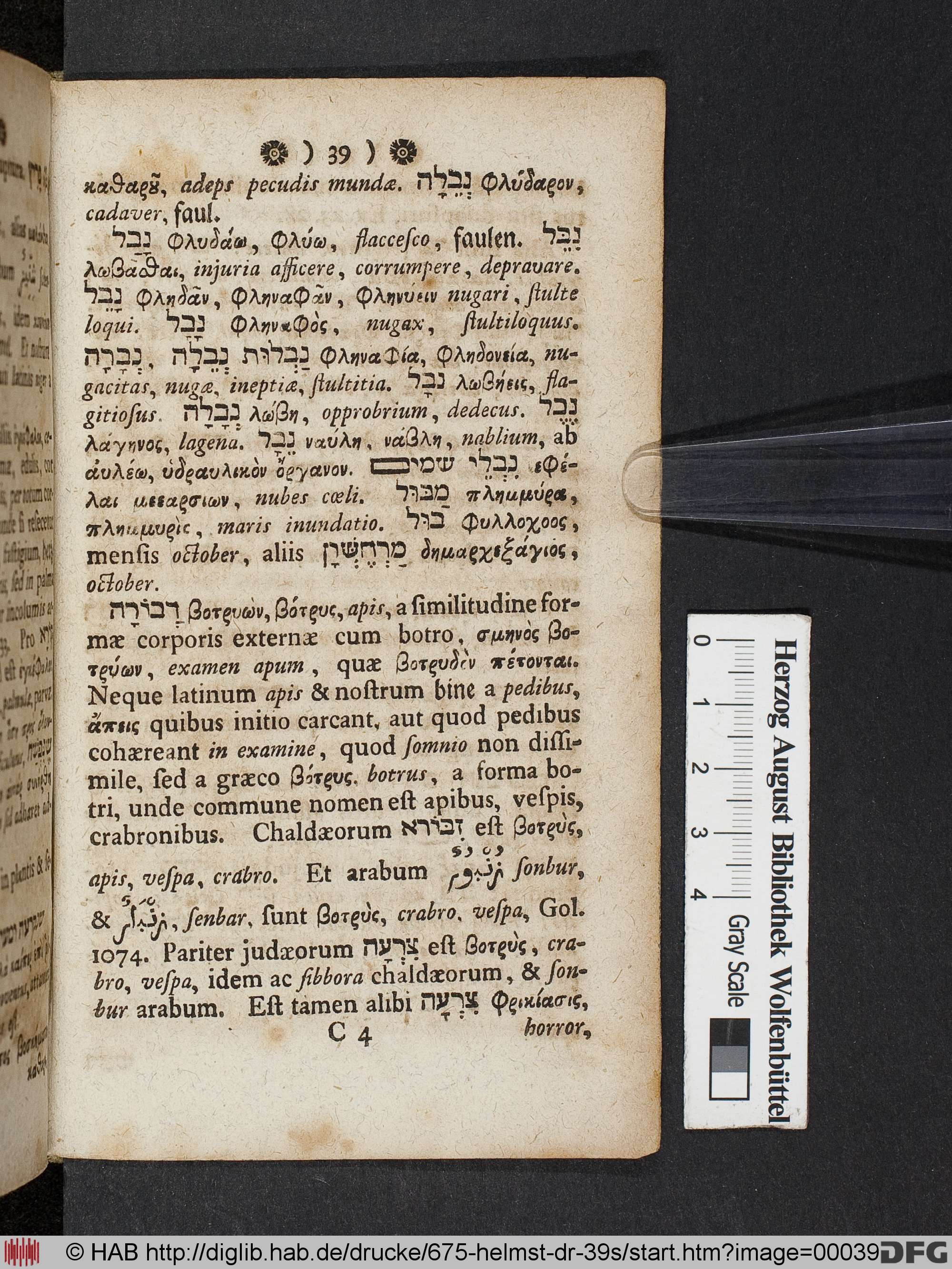 http://diglib.hab.de/drucke/675-helmst-dr-39s/max/00039.jpg