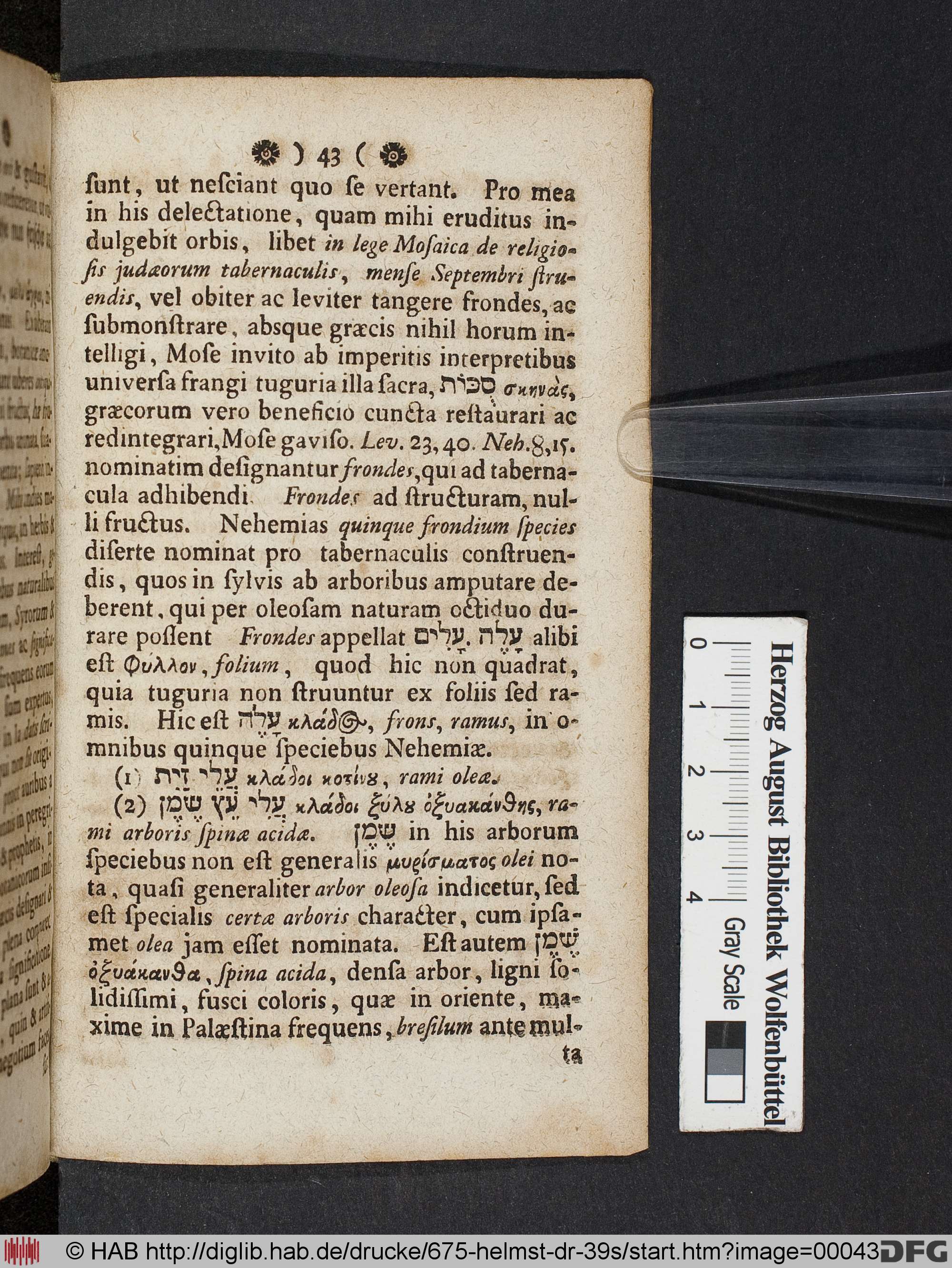 http://diglib.hab.de/drucke/675-helmst-dr-39s/max/00043.jpg