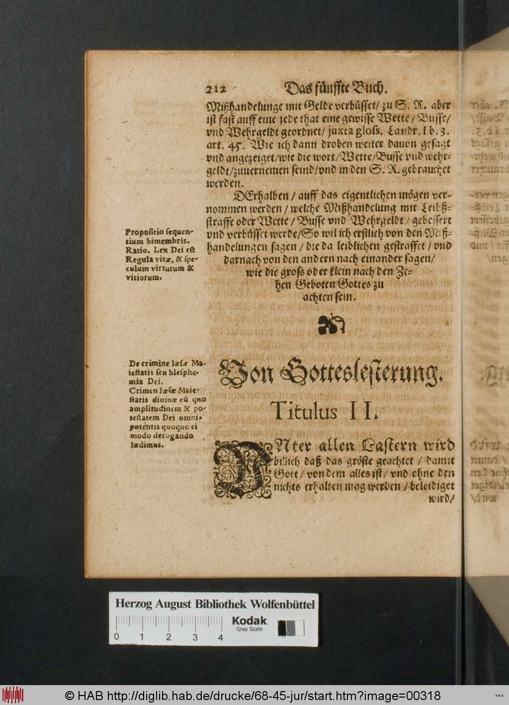 http://diglib.hab.de/drucke/68-45-jur/00318.jpg