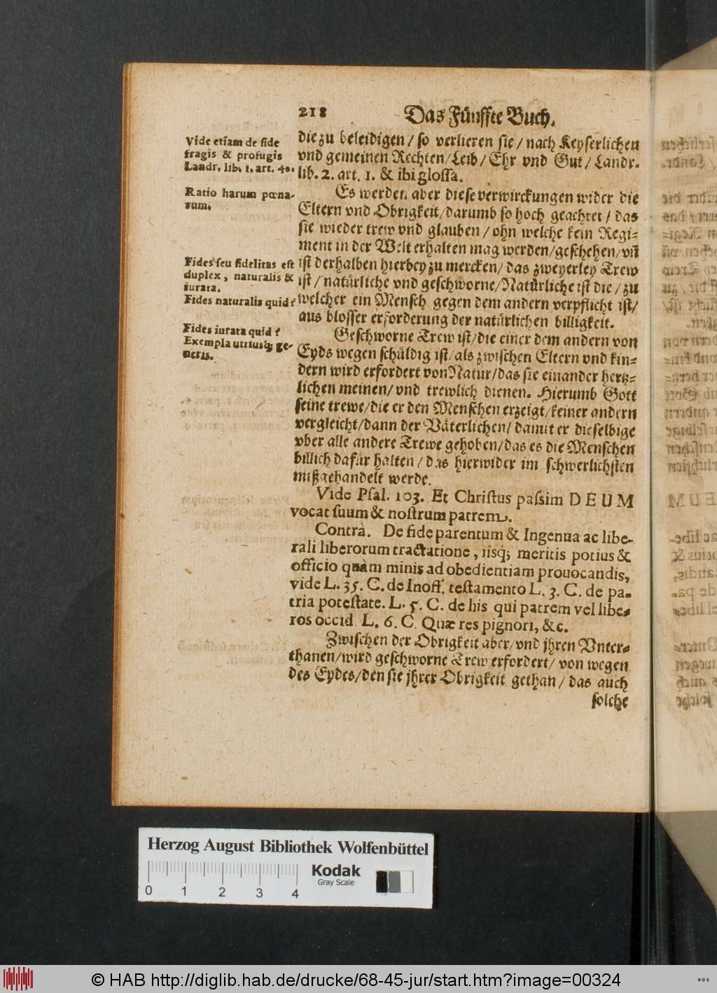 http://diglib.hab.de/drucke/68-45-jur/00324.jpg