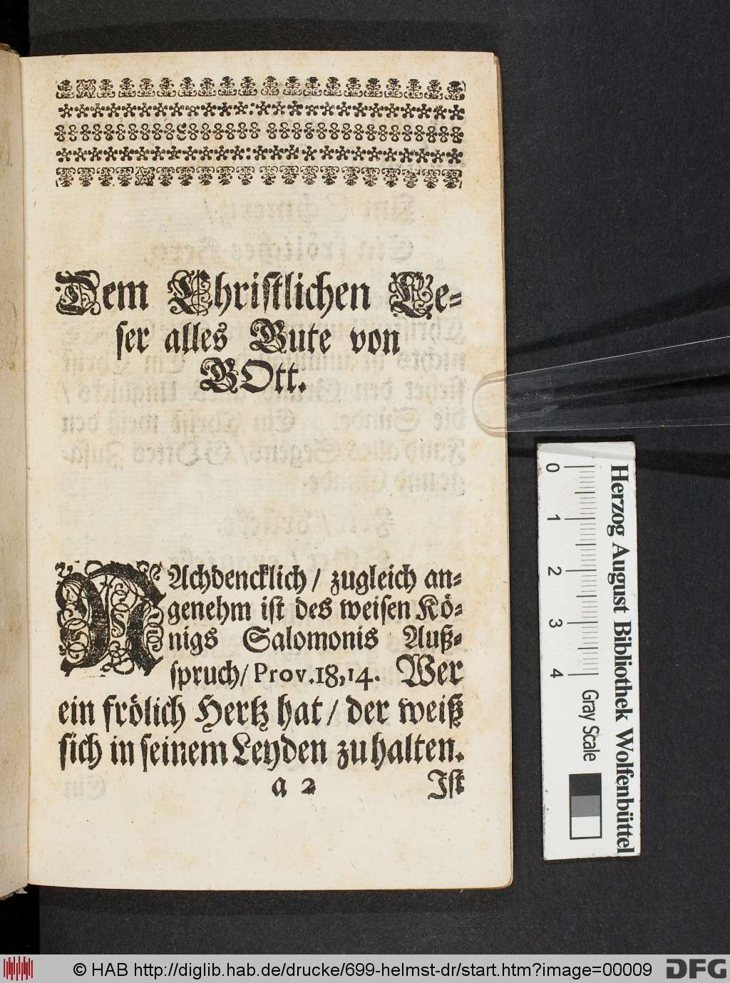 http://diglib.hab.de/drucke/699-helmst-dr/00009.jpg