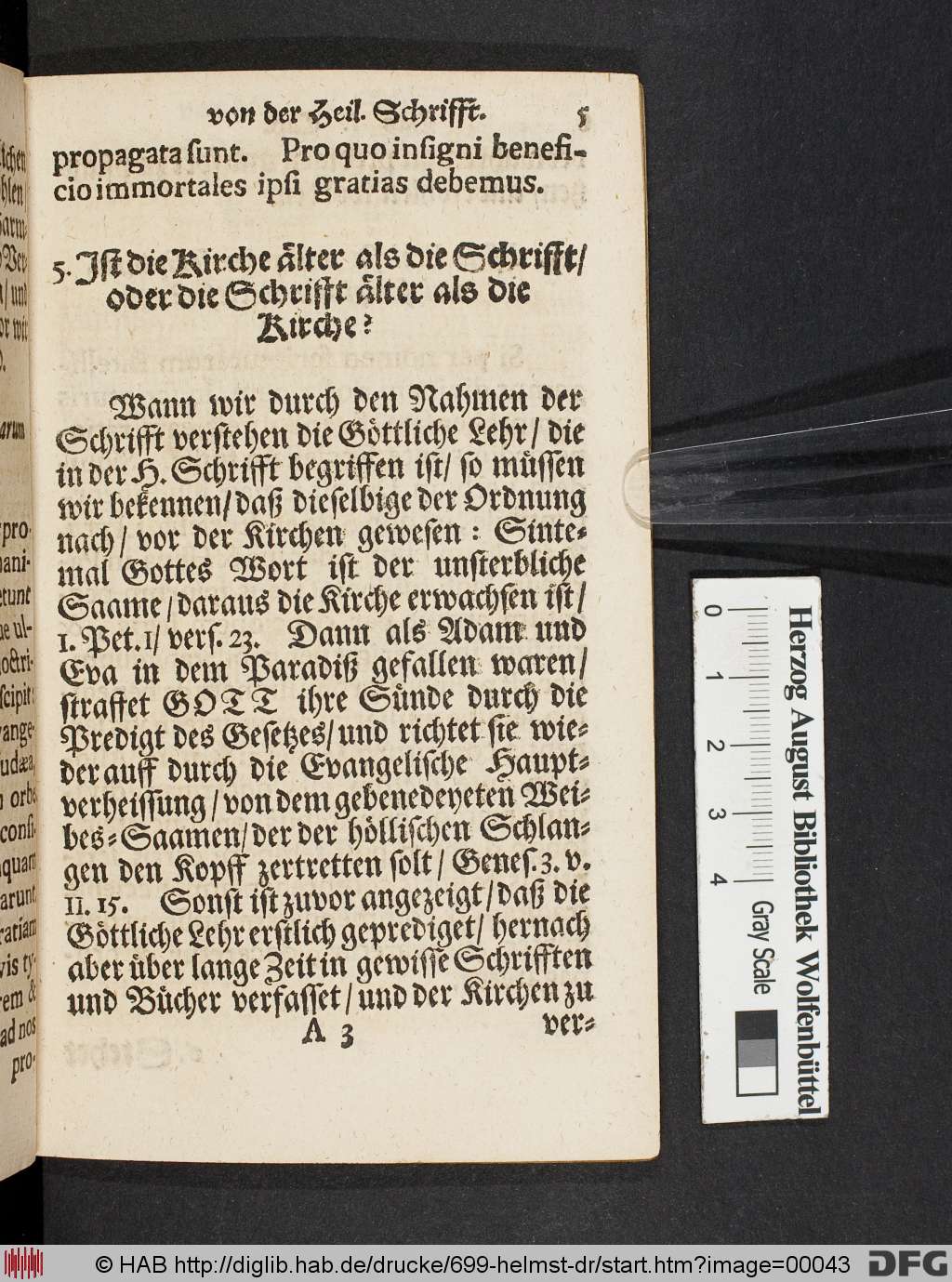 http://diglib.hab.de/drucke/699-helmst-dr/00043.jpg